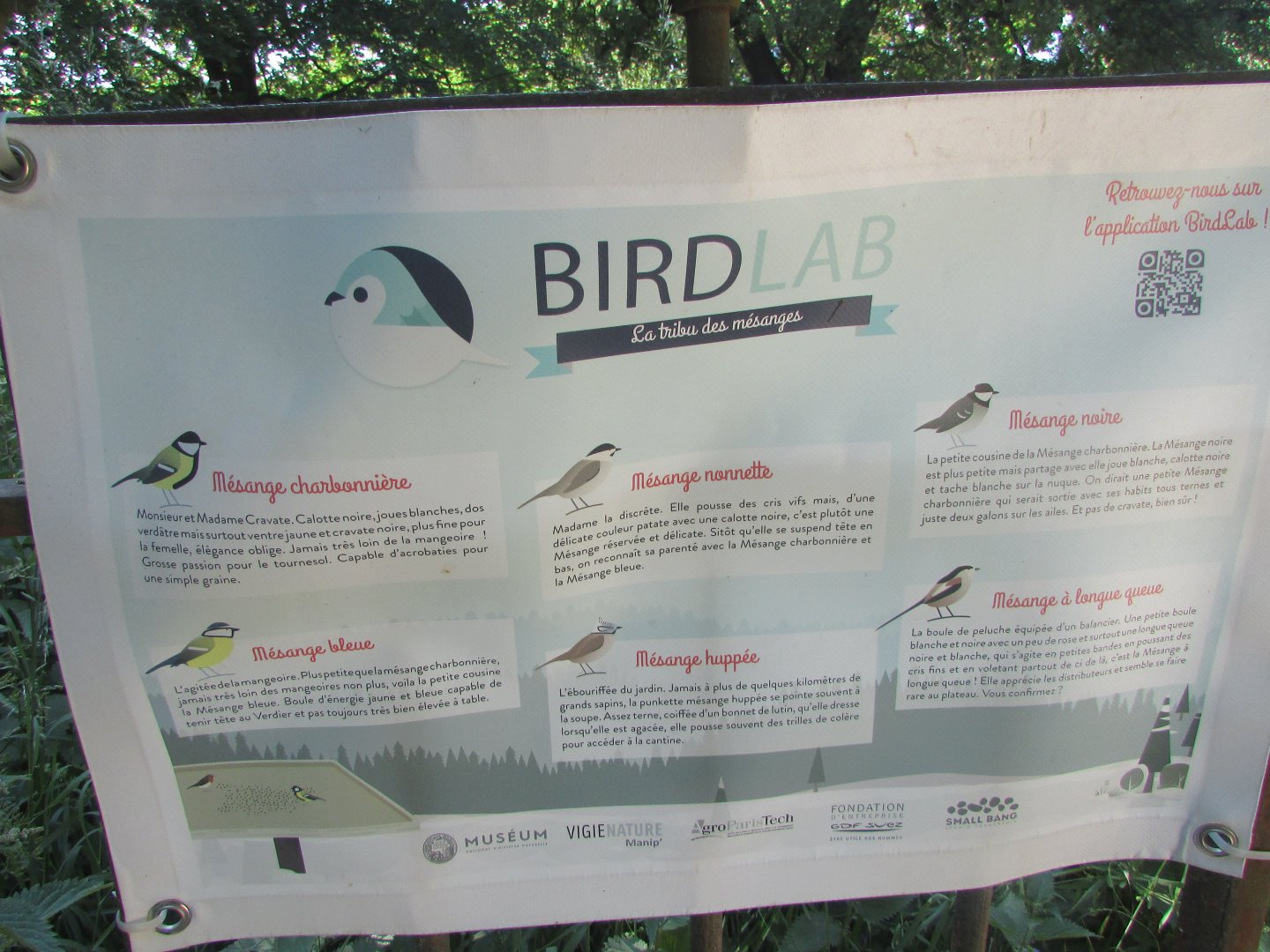 Jardin des Plantes de Paris - Bird species