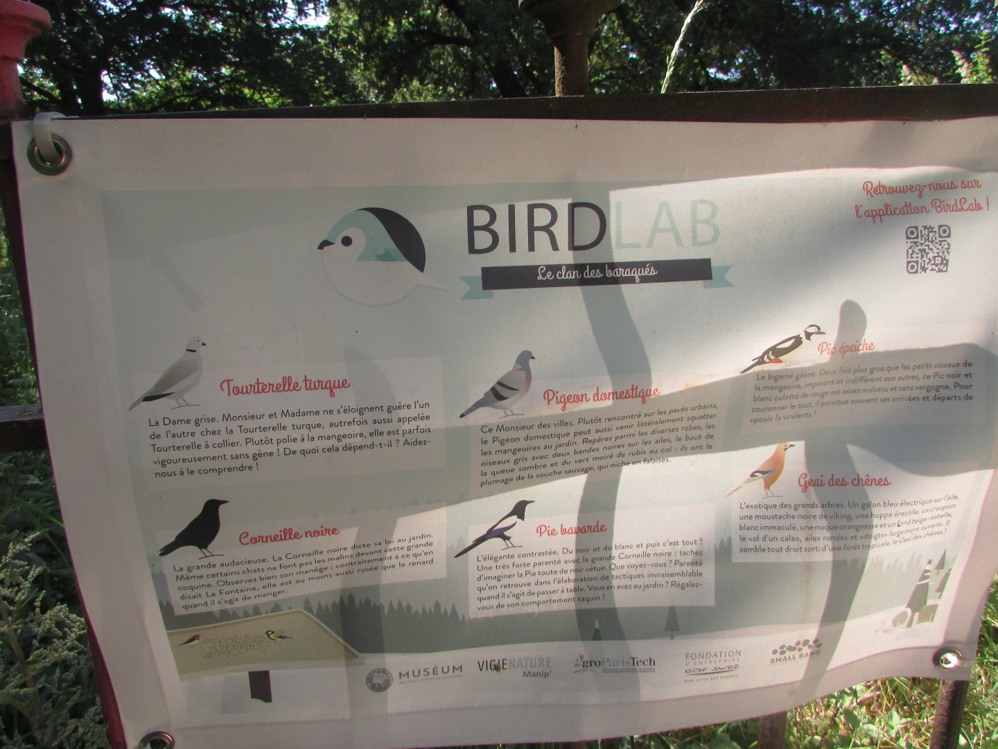 Jardin des Plantes de Paris - Bird species