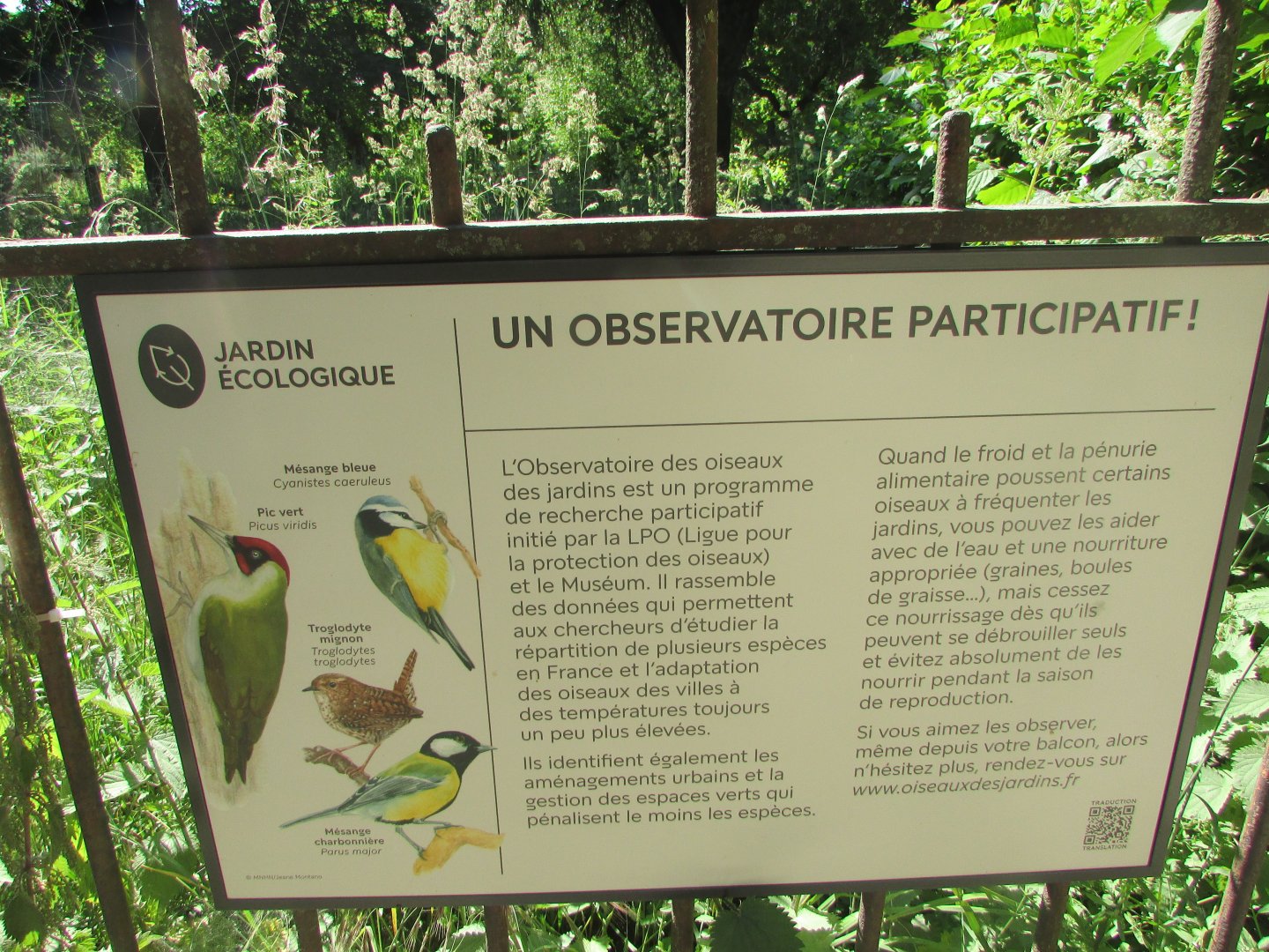 Jardin des Plantes de Paris - Bird species