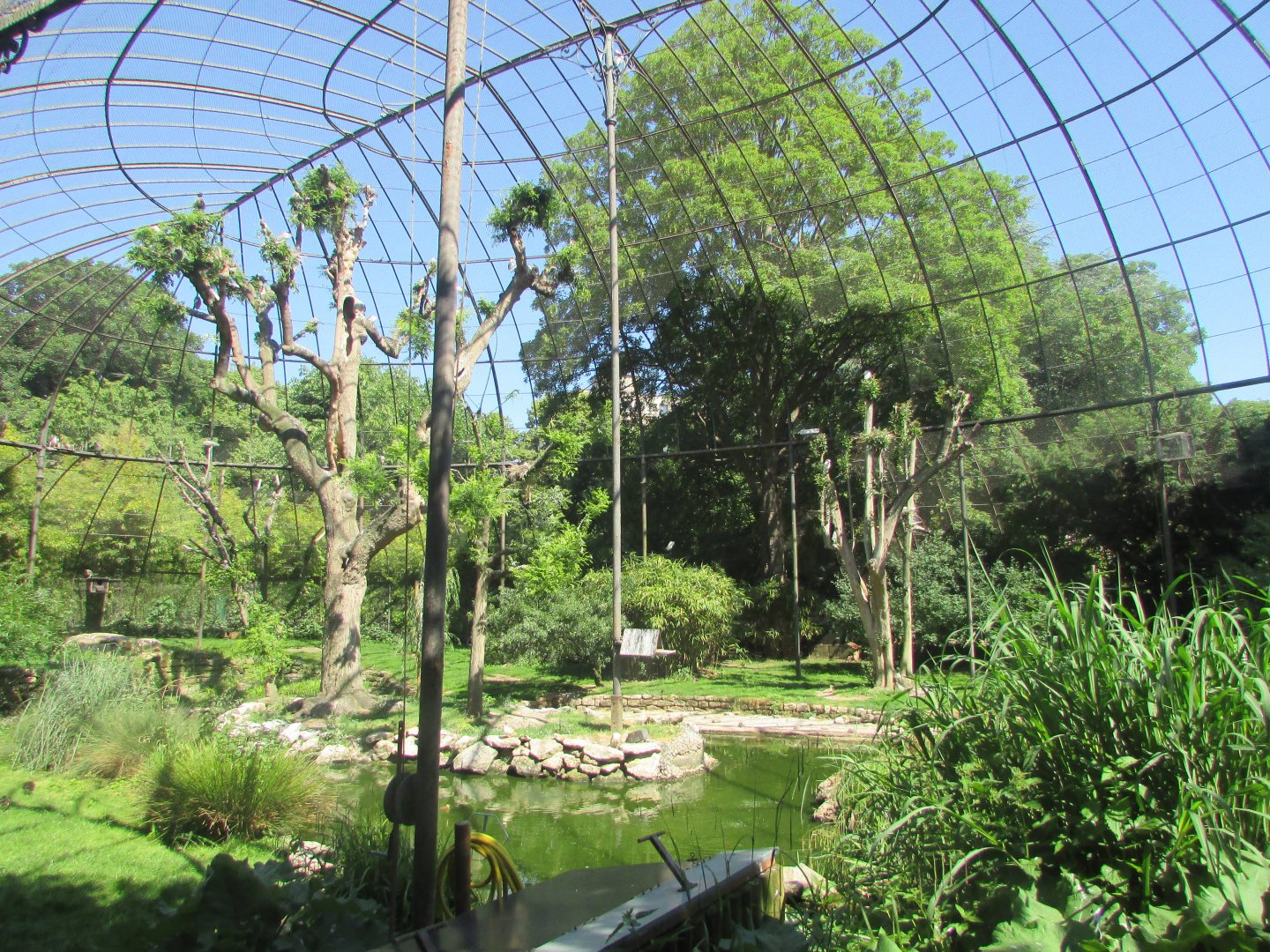 Jardin des Plantes de Paris - Inside walkthrough aviary