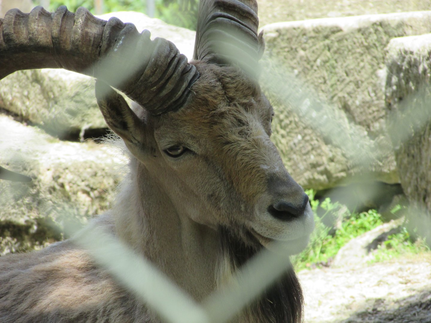 Jardin des Plantes de Paris - Kuban tur