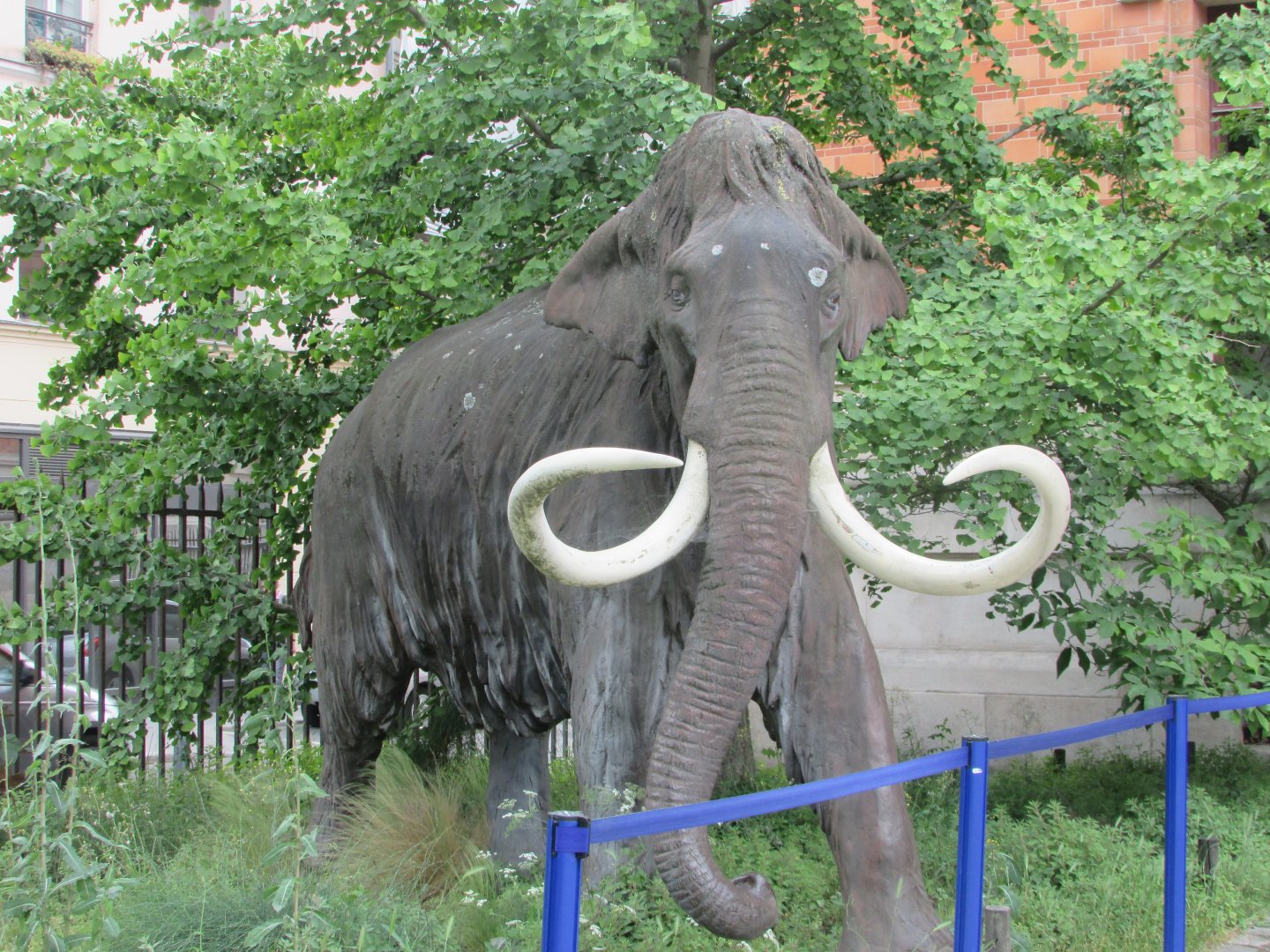Jardin des Plantes de Paris - Mammoth statue