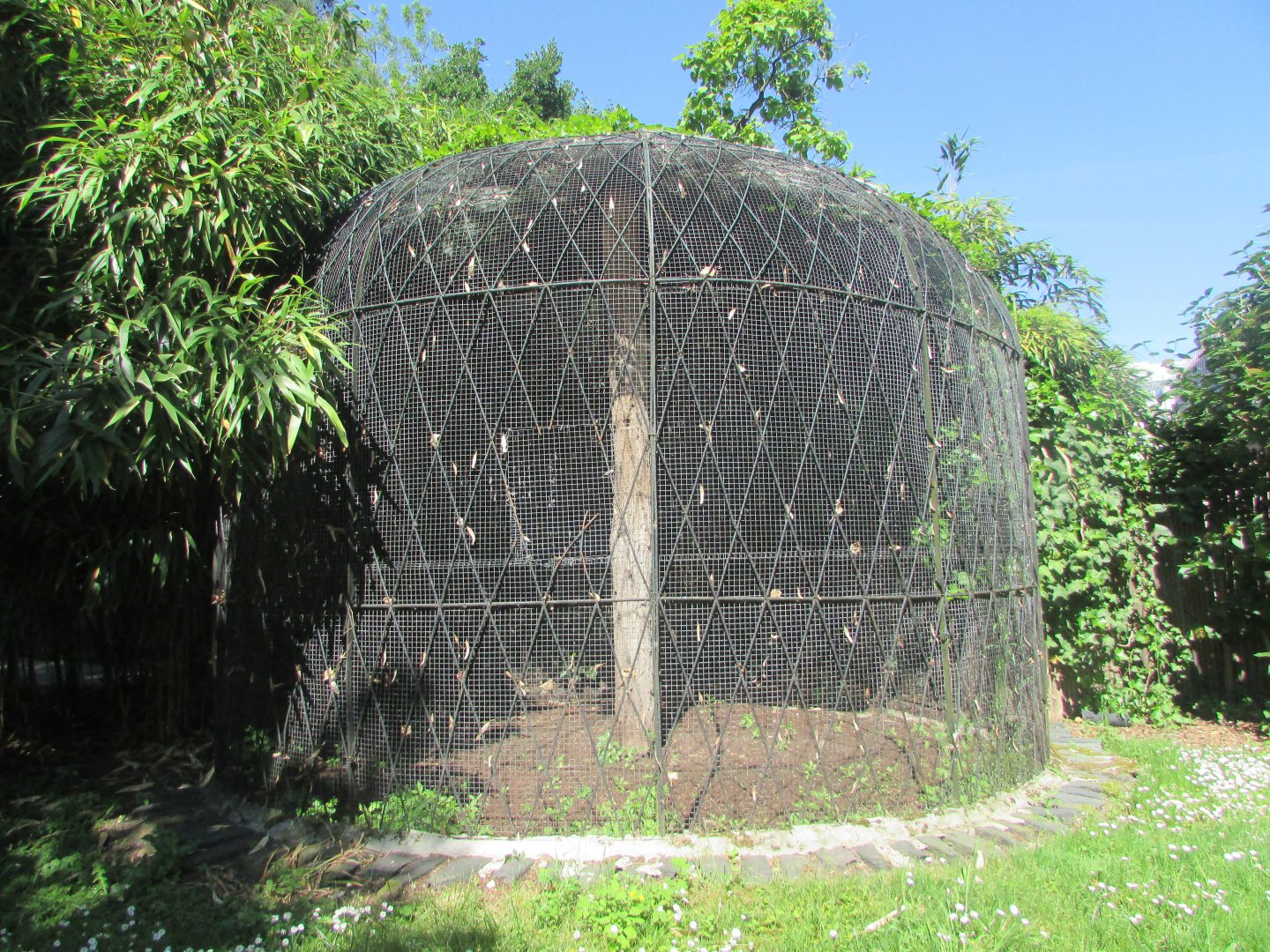 Jardin des Plantes de Paris - Old unused cage