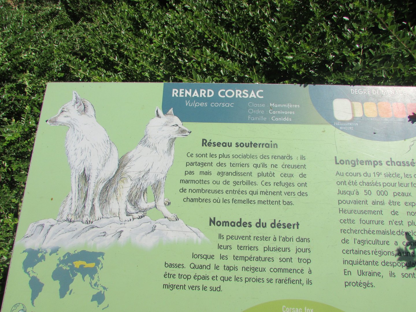 Jardin des Plantes de Paris - Signage for Corsac fox
