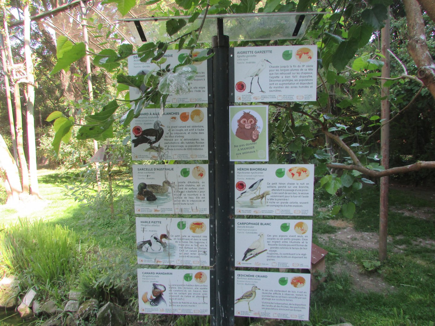 Jardin des Plantes de Paris - Signed species in walkthrough aviary