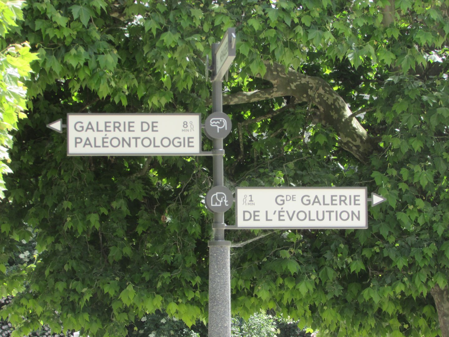 Jardin des Plantes de Paris - Signs