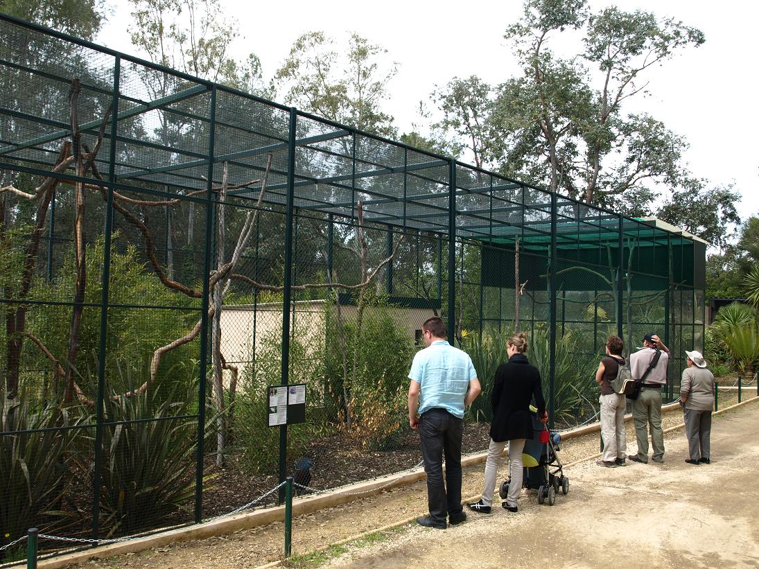 Jardin zoologique tropical