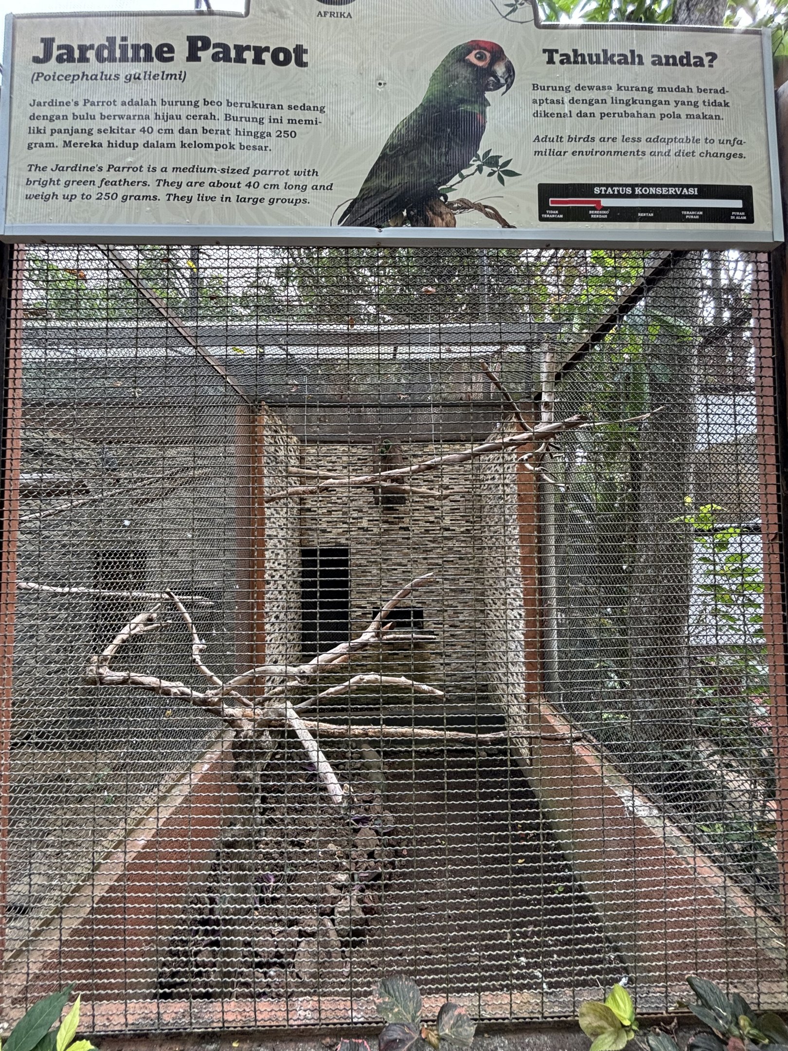 Jardine Parrot Aviary