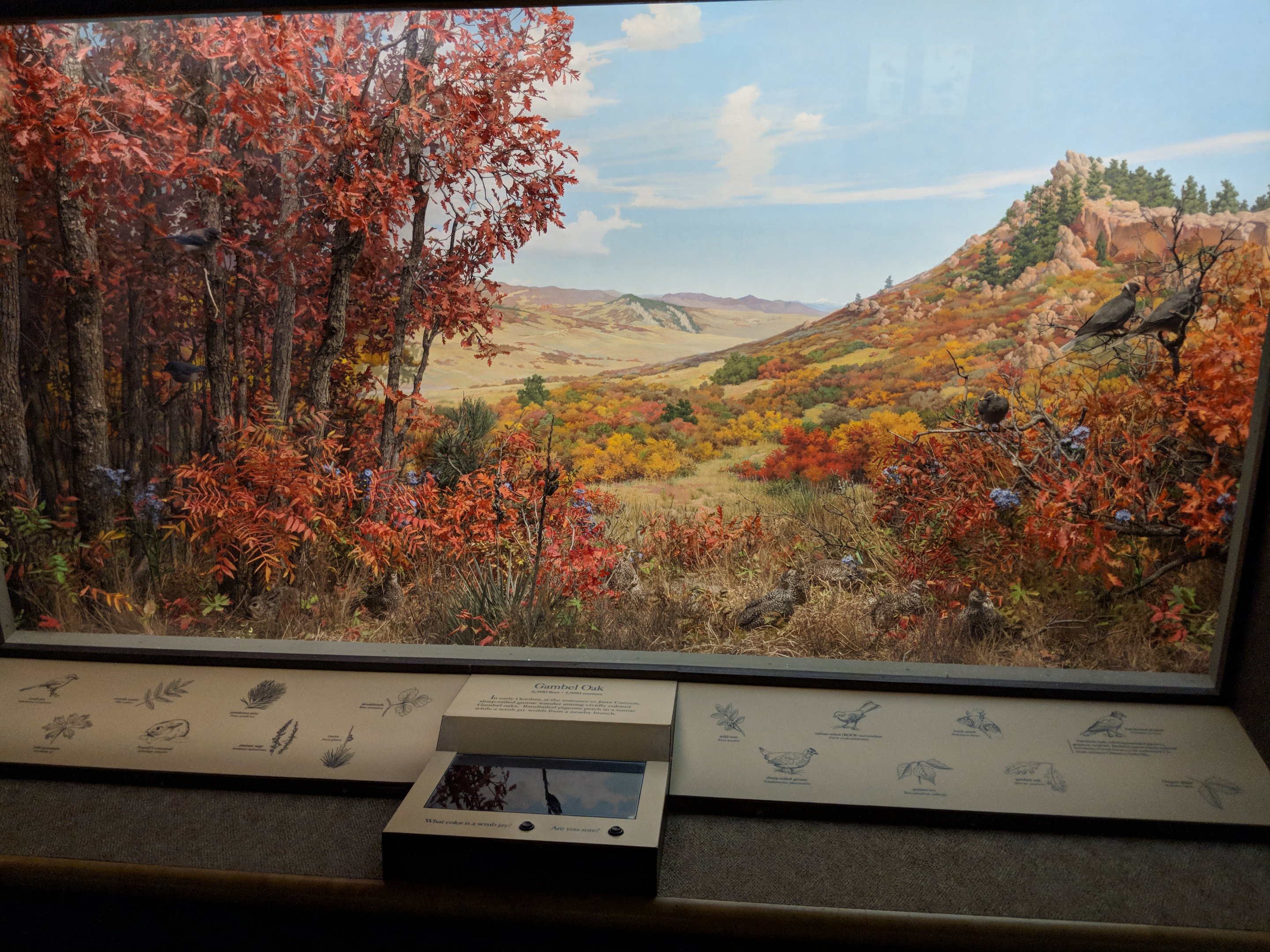 Jarre Canyon Diorama