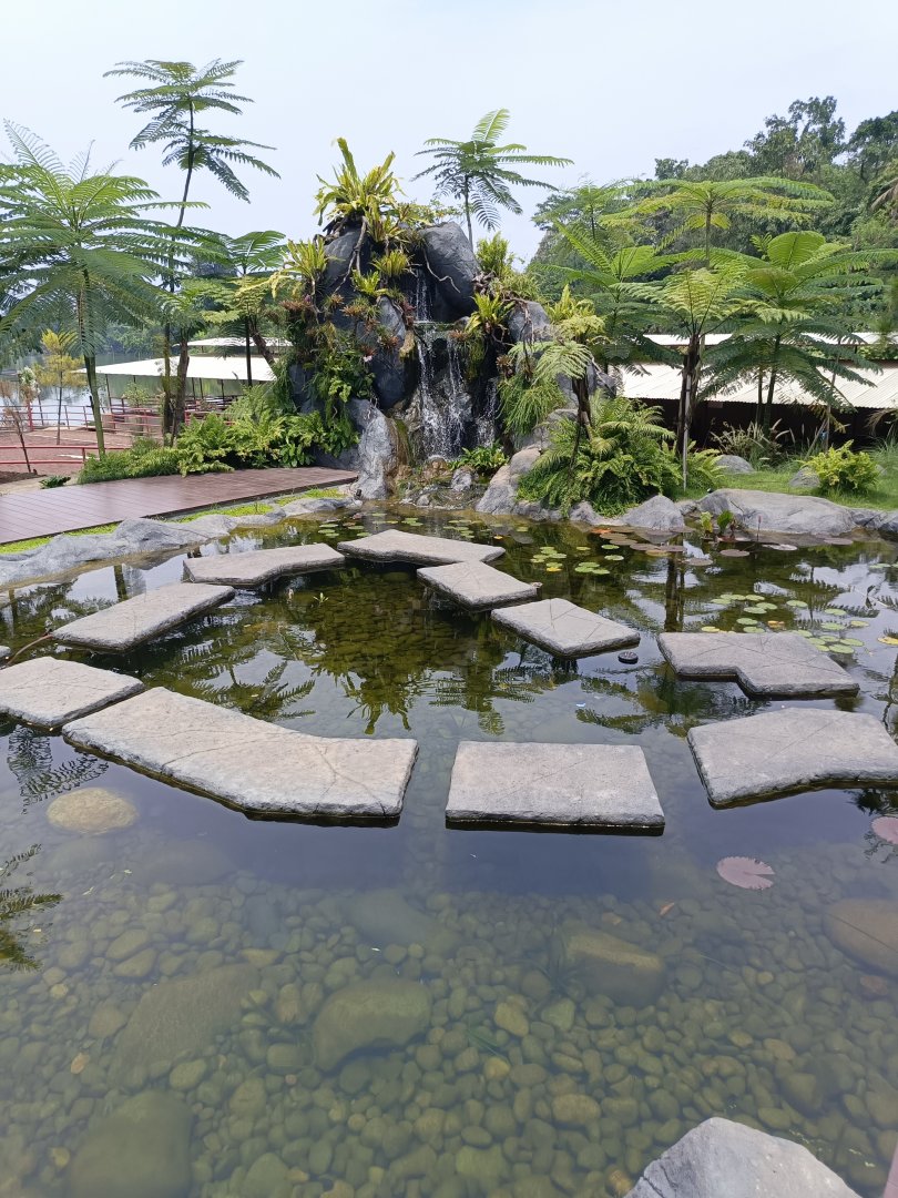 Jasmine Park - Natural Pond