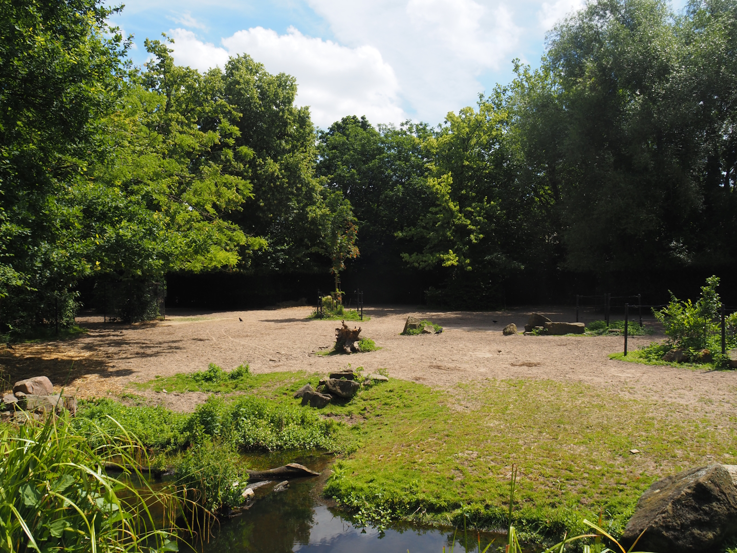 Javan banteng and Blackbuck paddock, 2024-06-30