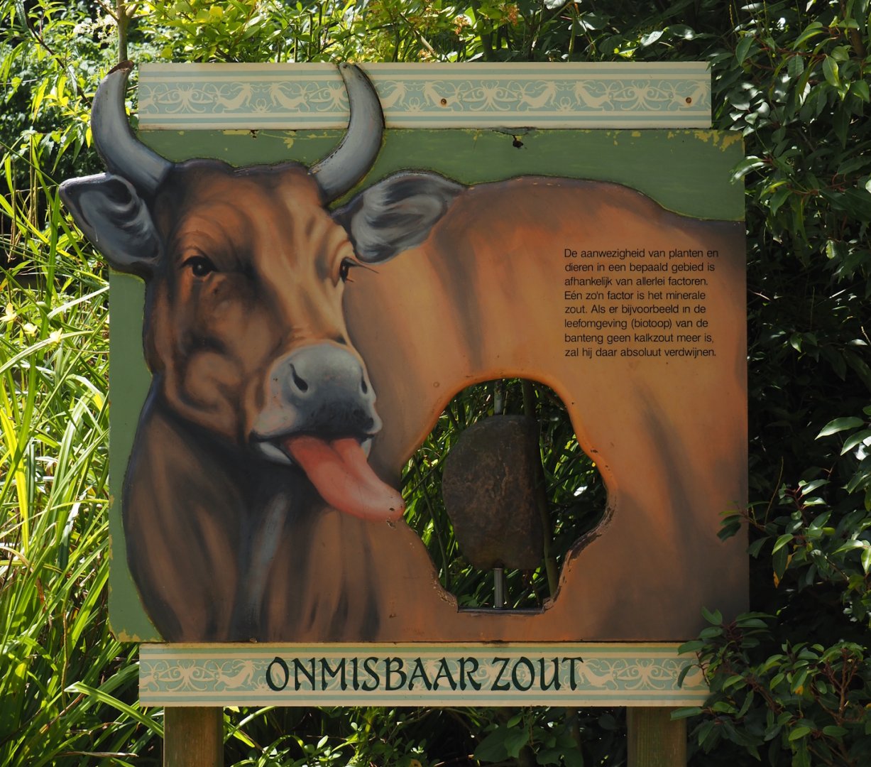 Javan banteng salt lick signage, 2024-06-30
