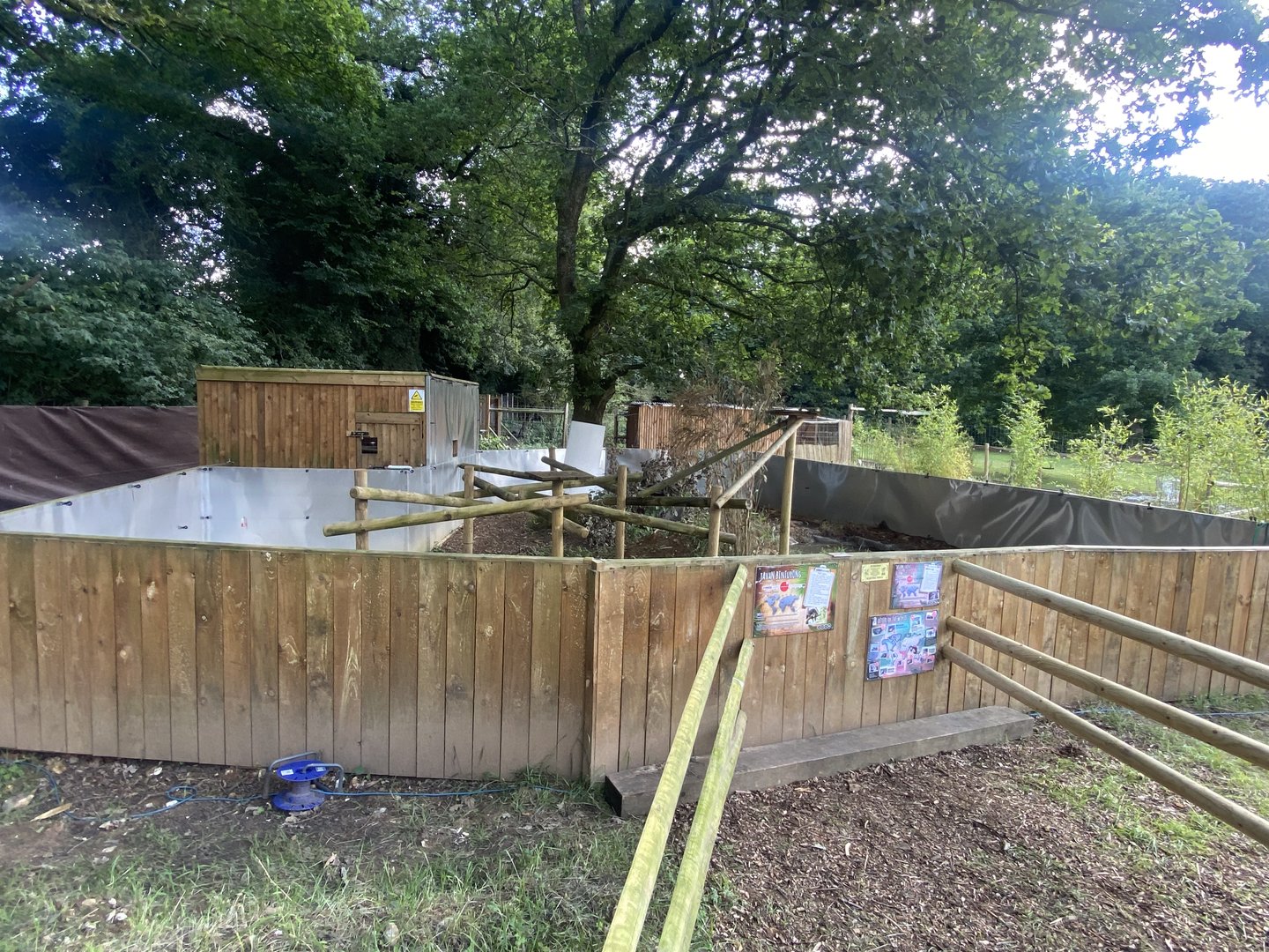 Javan binturong and Asian small-clawed otter enclosure 290723