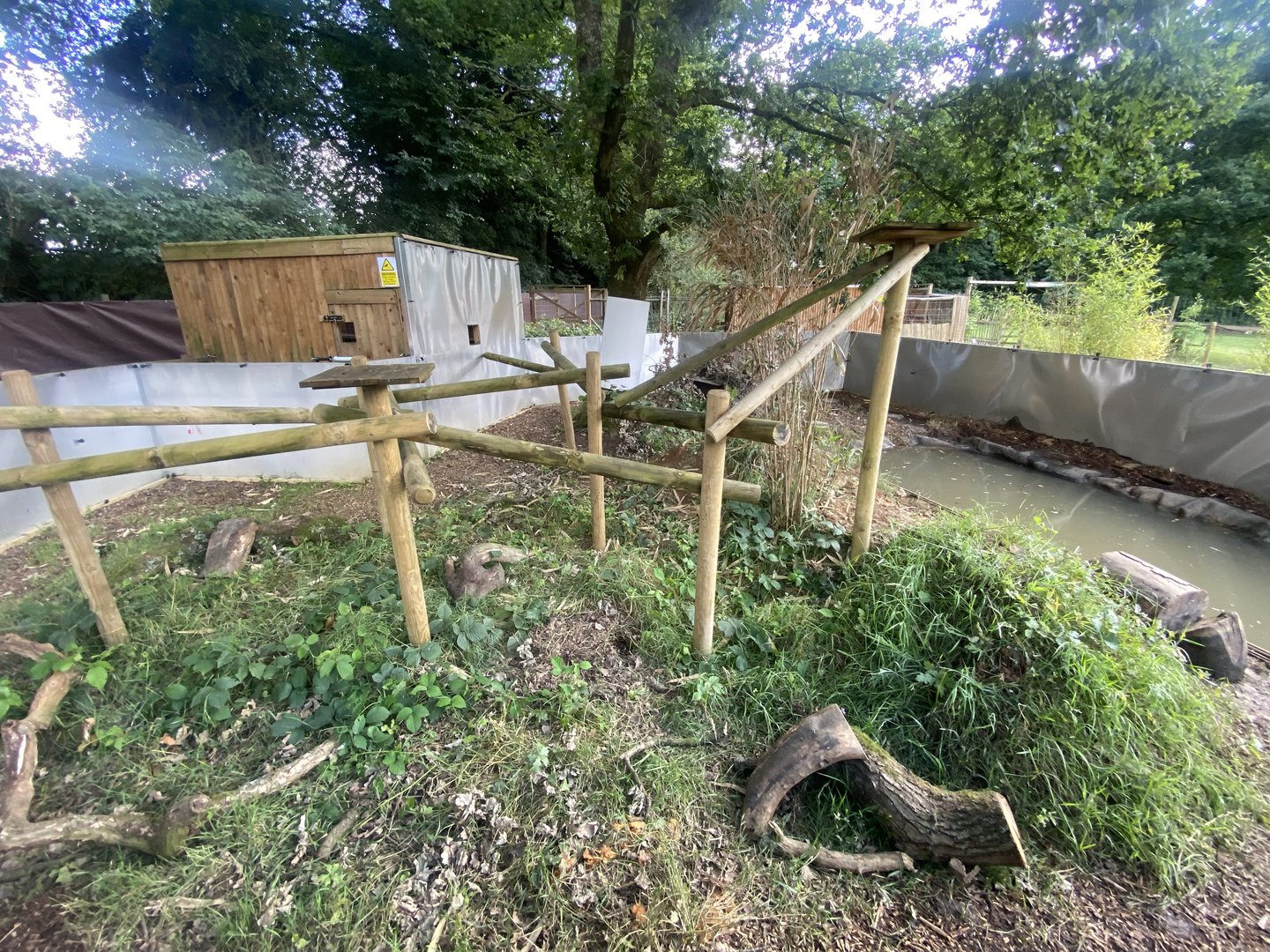 Javan binturong and Asian small-clawed otter enclosure 290723