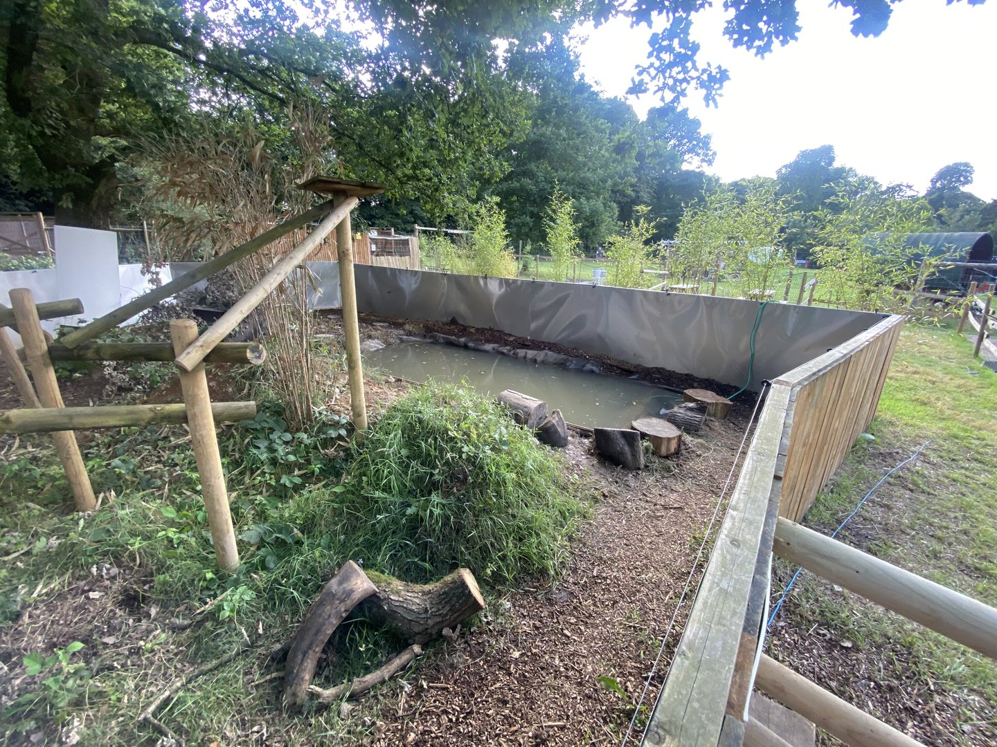 Javan binturong and Asian small-clawed otter enclosure 290723