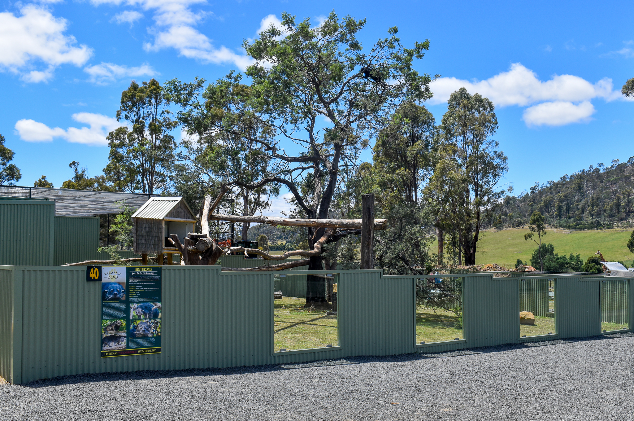 Javan Binturong enclosure