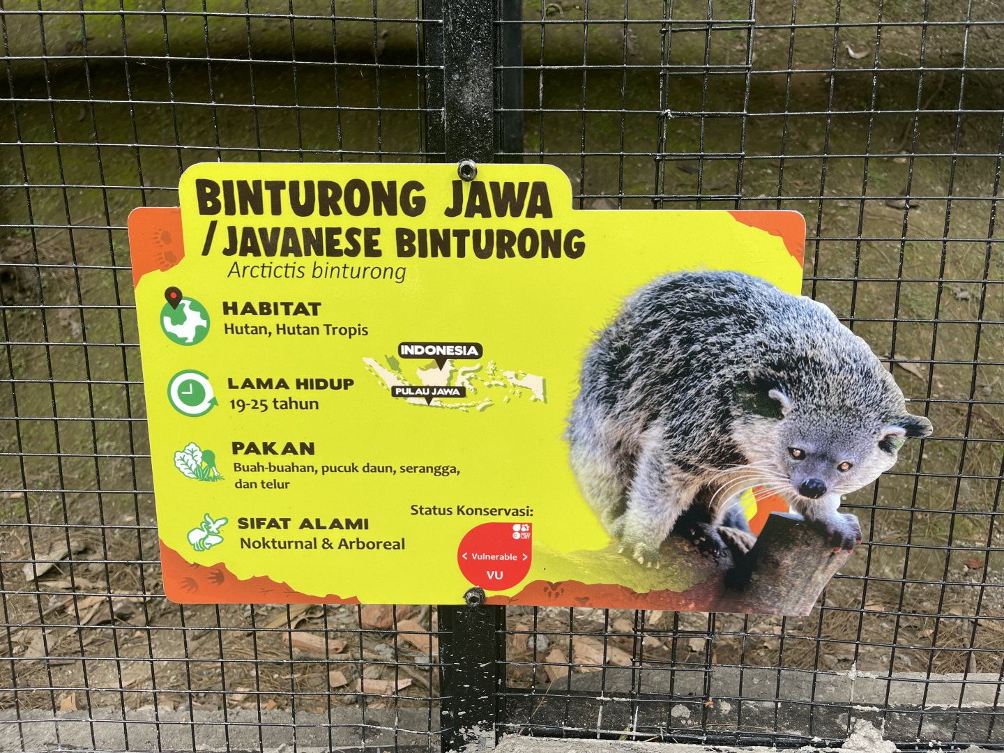 javan binturong signage