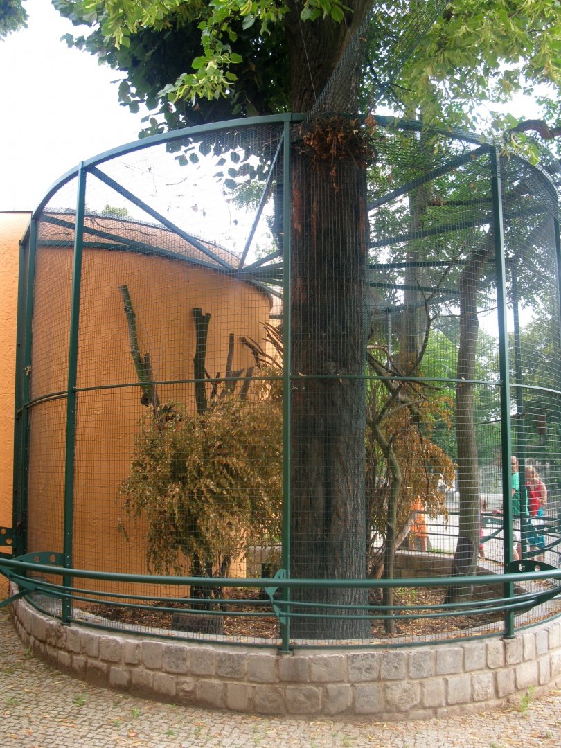 Javan Black Giant Squirrel outdoor exhibit at the Terai Pavilion - 08.2013