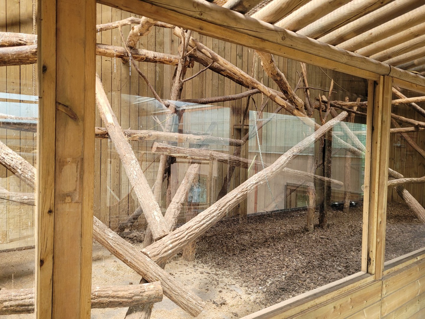 Javan chevrotain and Laughing kookaburra exhibit -Zoo du bassin d'Arcachon (2024)