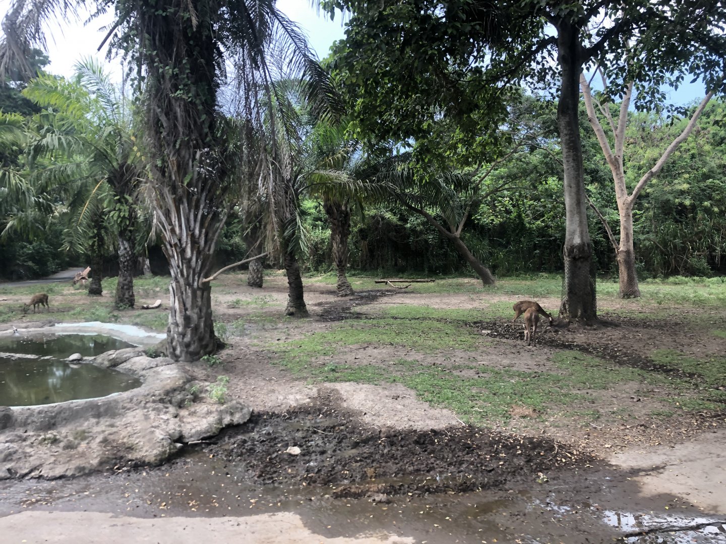 Javan Fields Exhibit