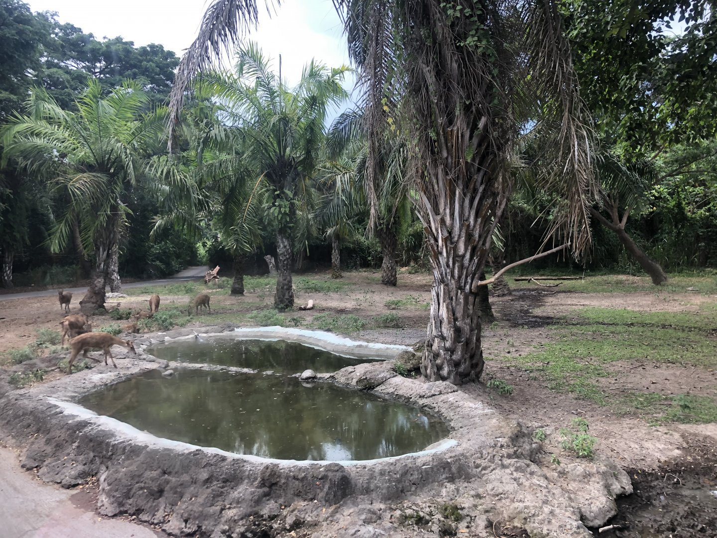 Javan Fields Exhibit