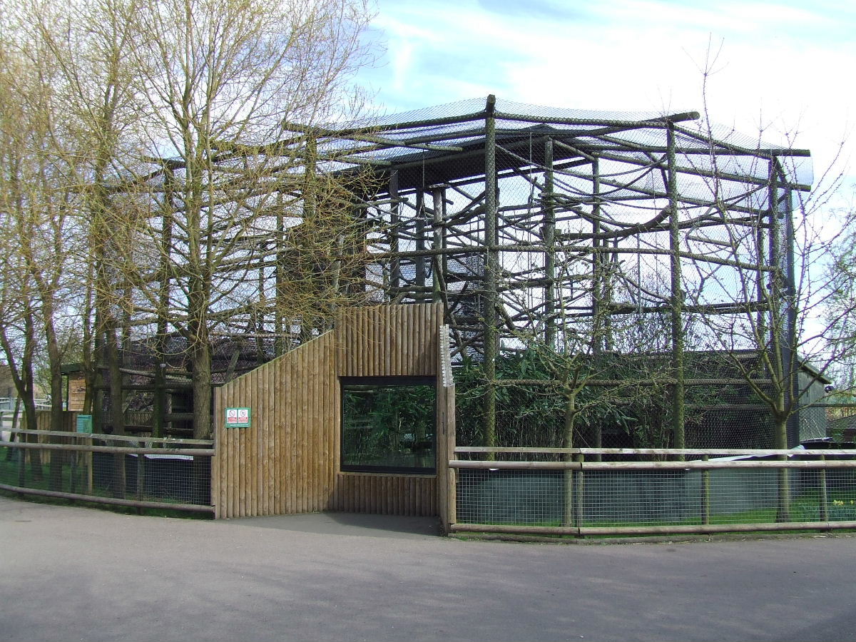 Javan Gibbon enclosure (cage)