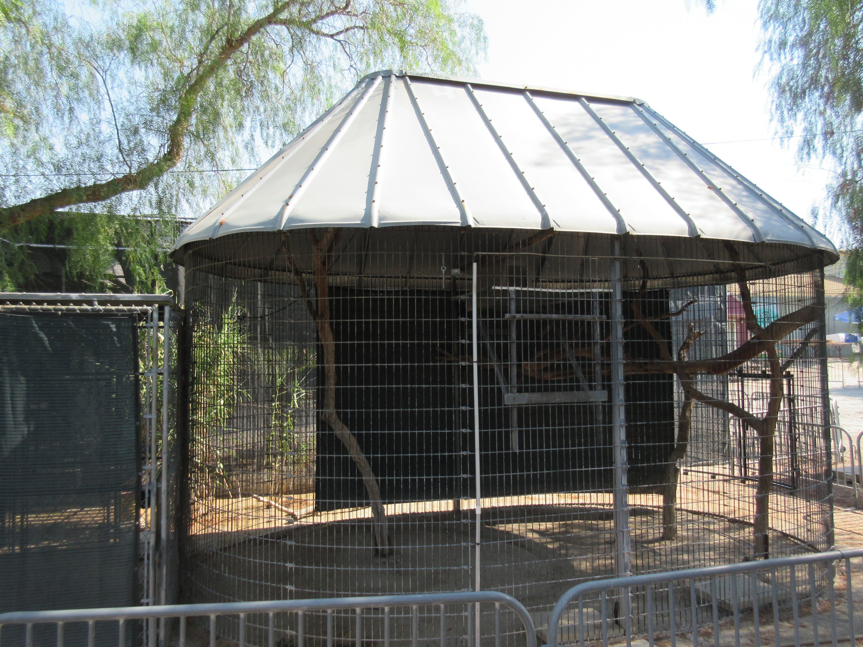 Javan Gibbon Exhibit
