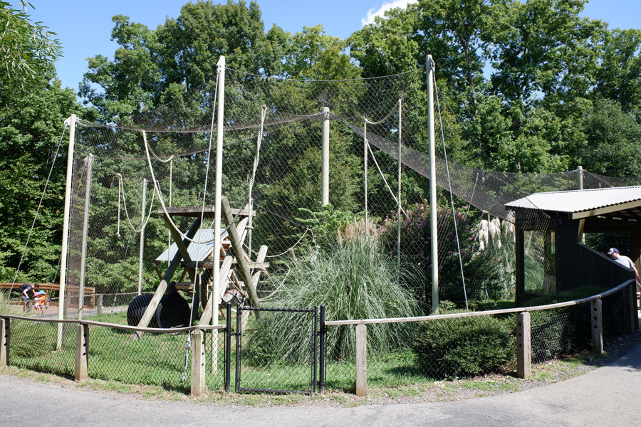 javan gibbon exhibit