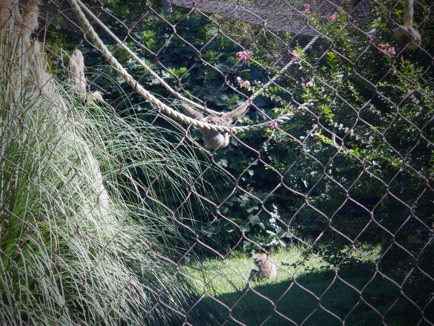 Javan Gibbons at the Greensboro Science Center