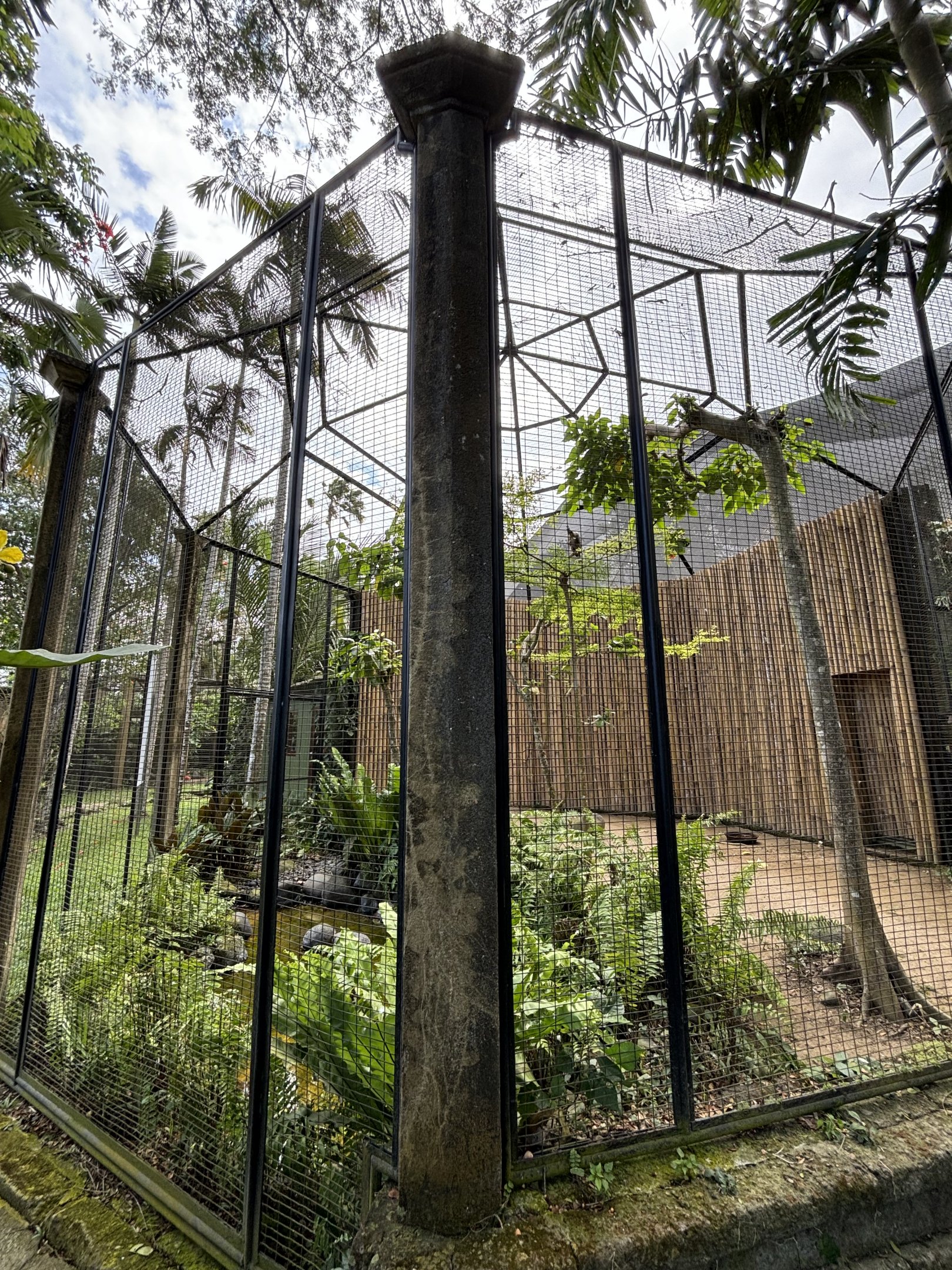 Javan Hawk Eagle Aviary
