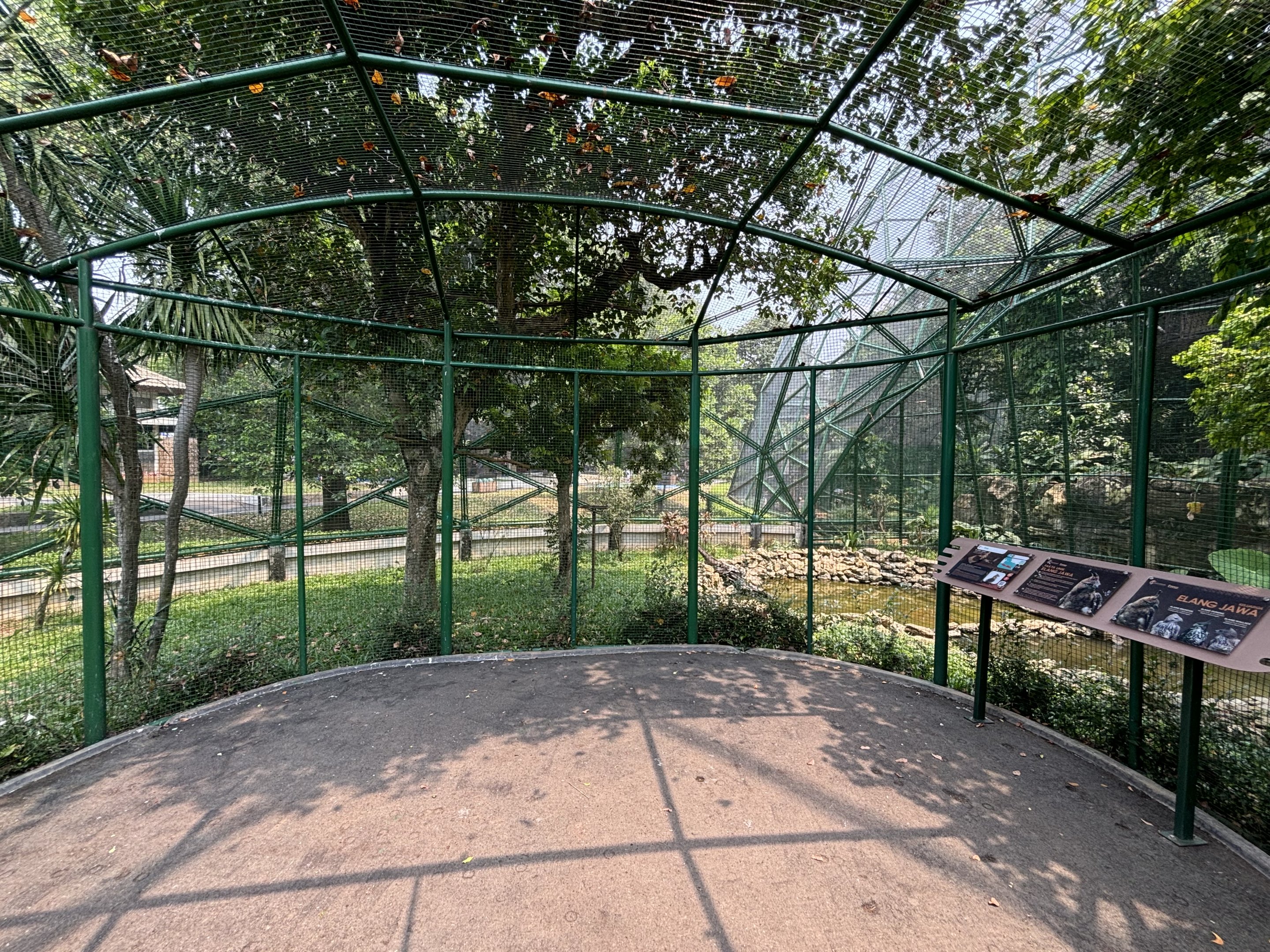 Javan Hawk Eagle Aviary