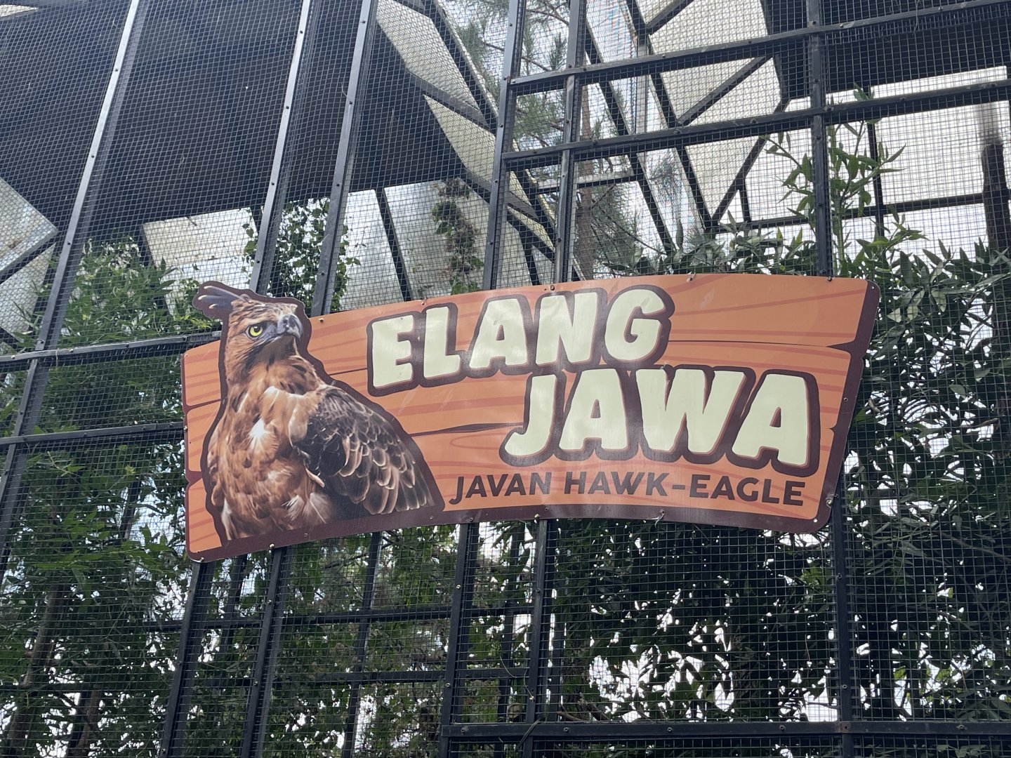 javan-hawk eagle signage (1)
