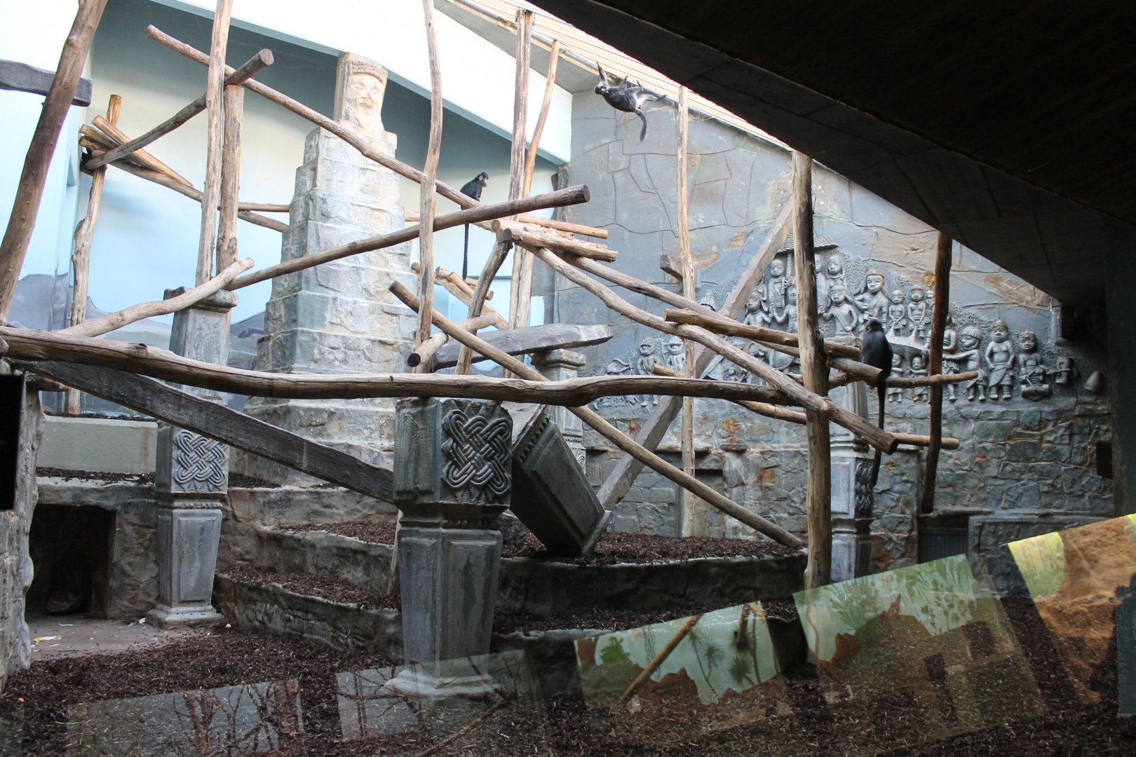 Javan langur enclosure