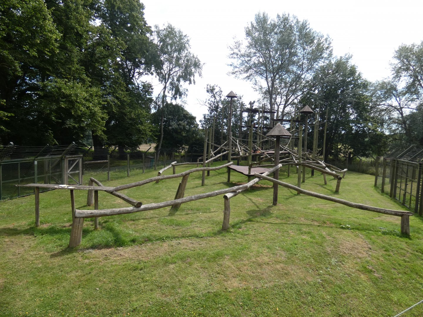Javan Langur enclosure