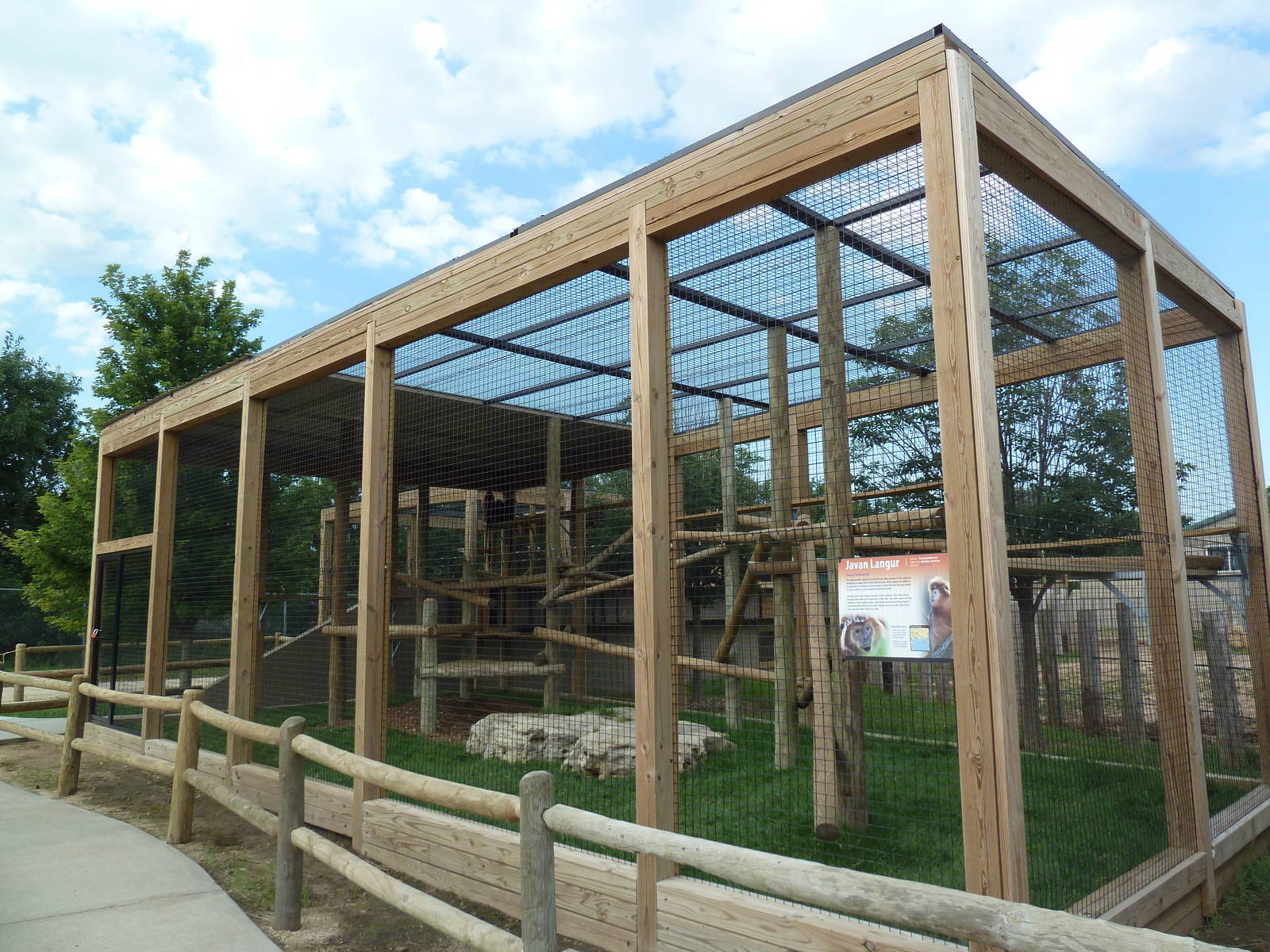 Javan Langur Exhibit