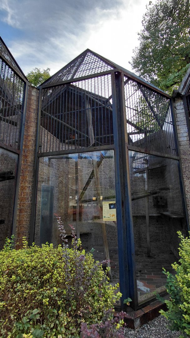 Javan langur exhibit