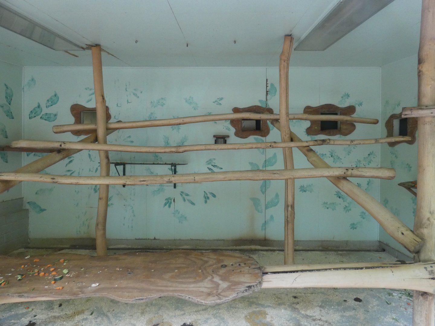 Javan Langur indoor enclosure