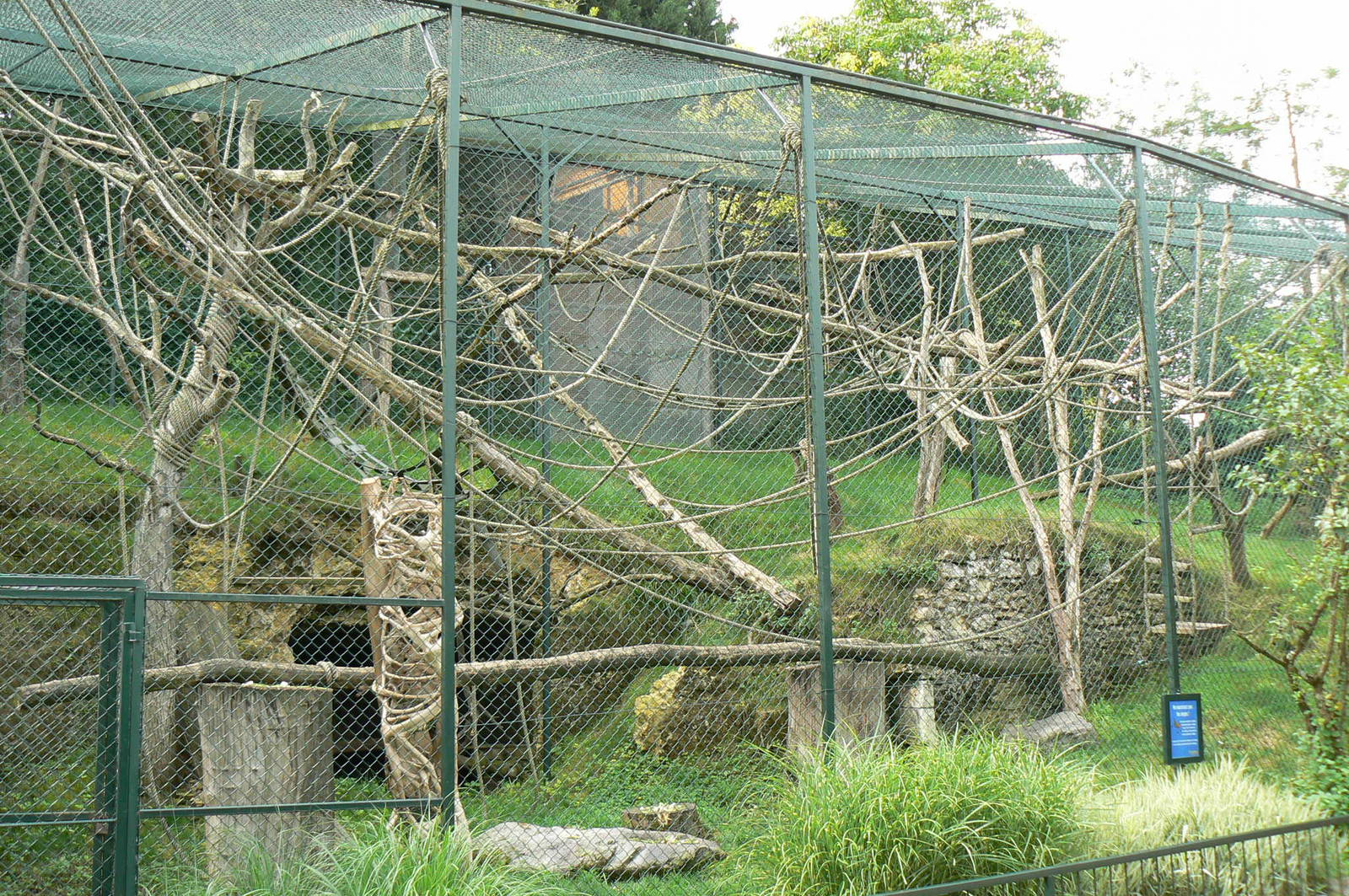 Javan langurs enclosure