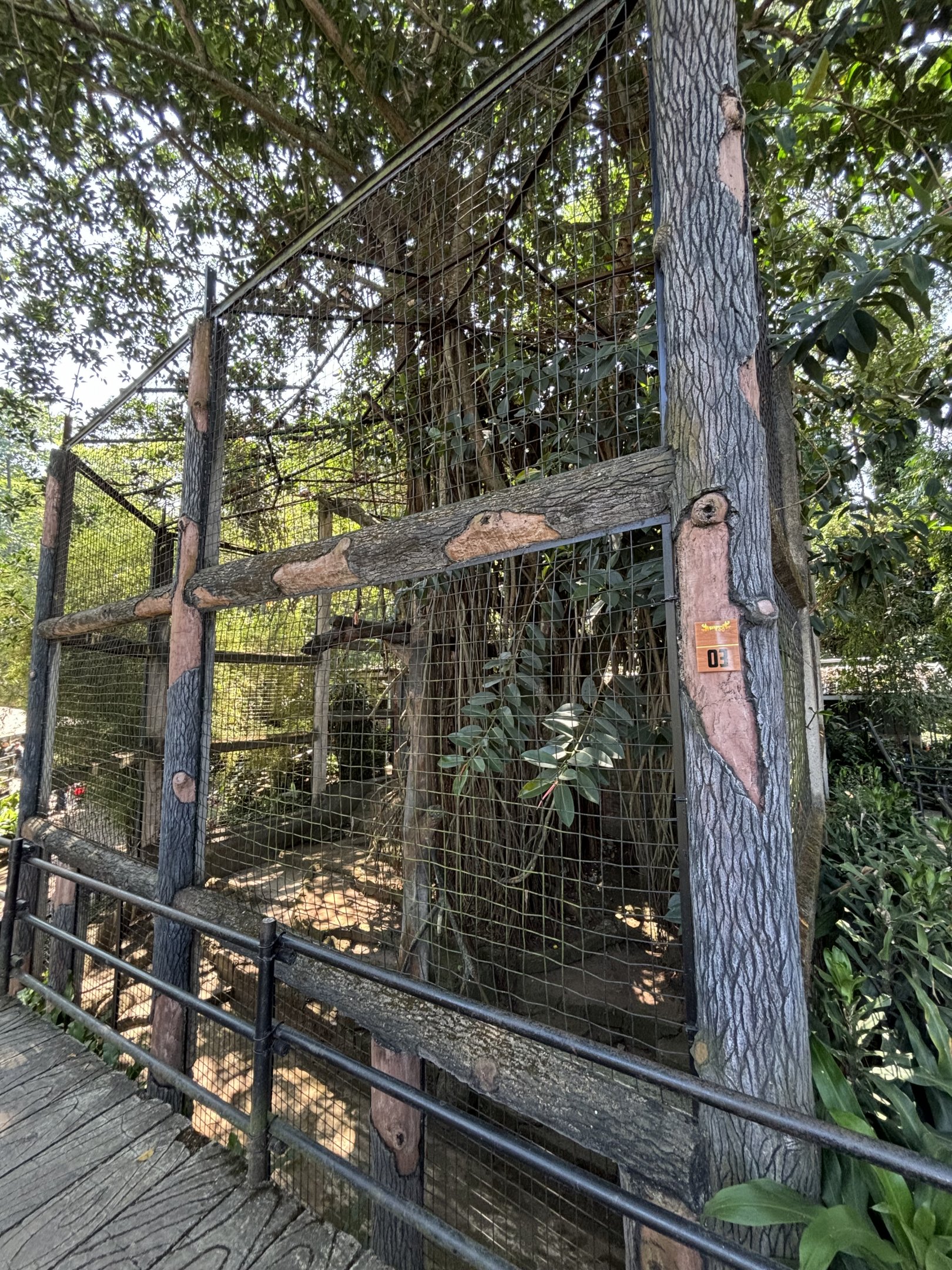 Javan Leopard Exhibit #2 - currently empty