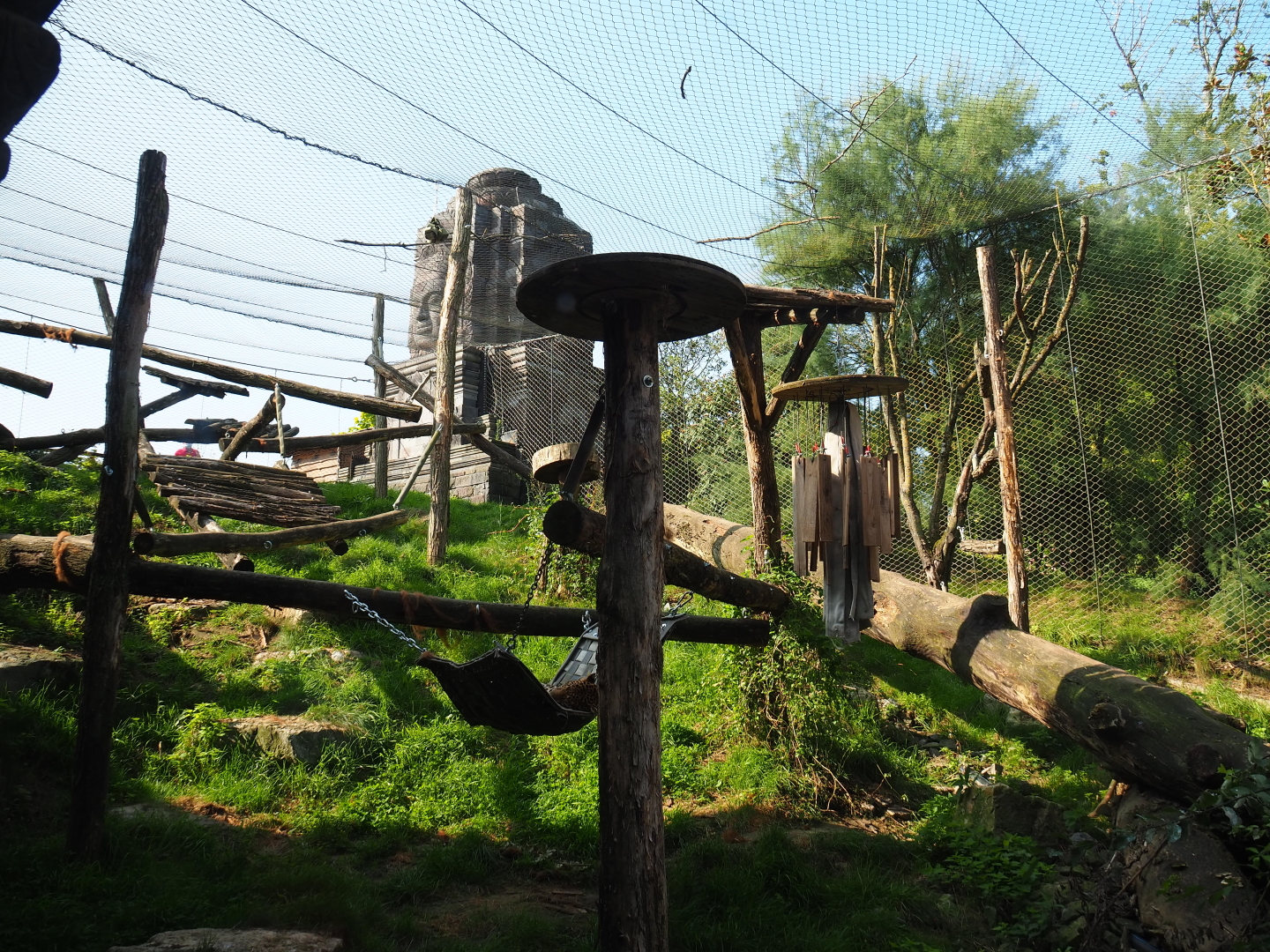 Javan leopard exhibit, 2021-09-02
