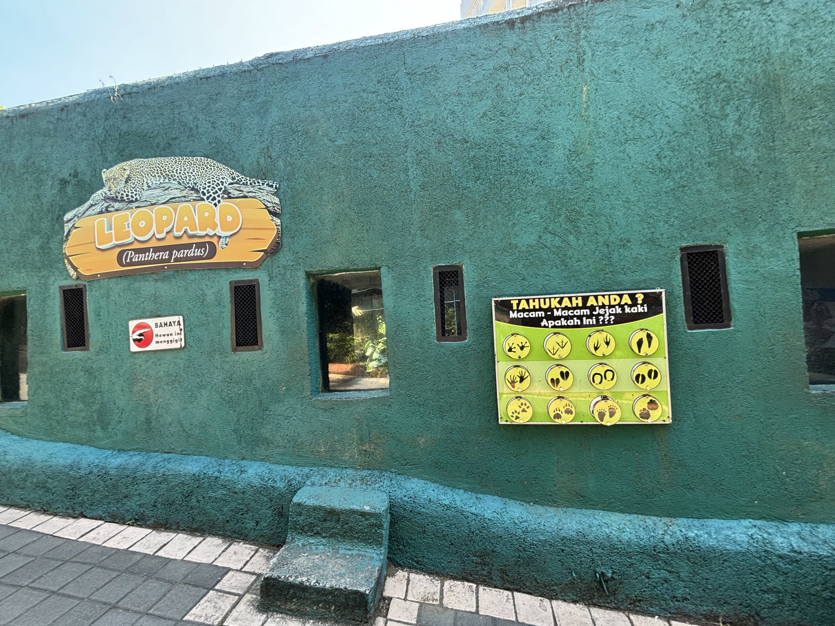 Javan Leopard Exhibit