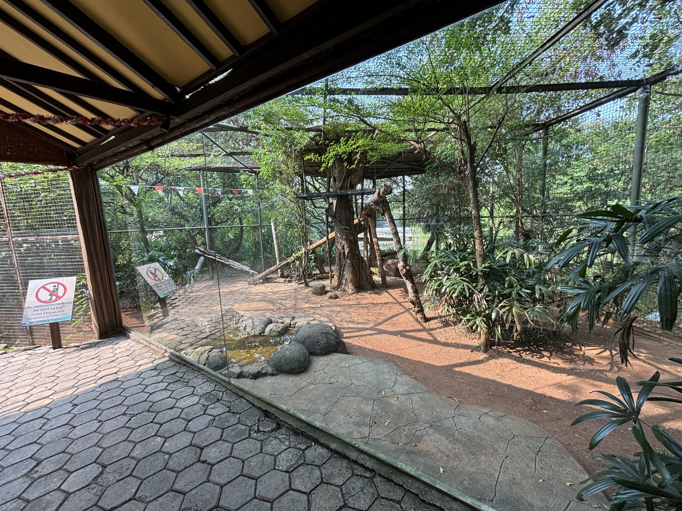 Javan Leopard Exhibit