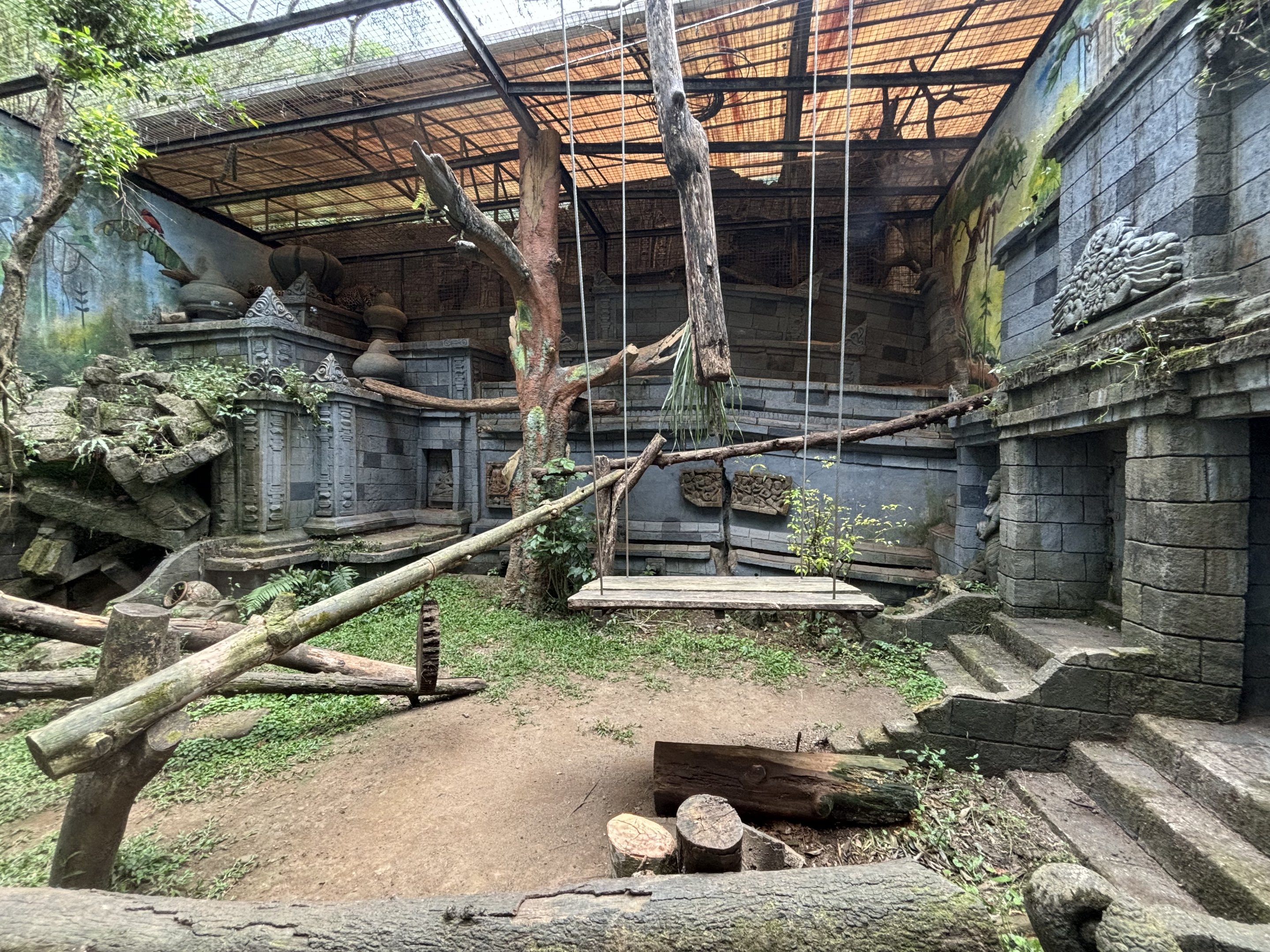 Javan Leopard Exhibit