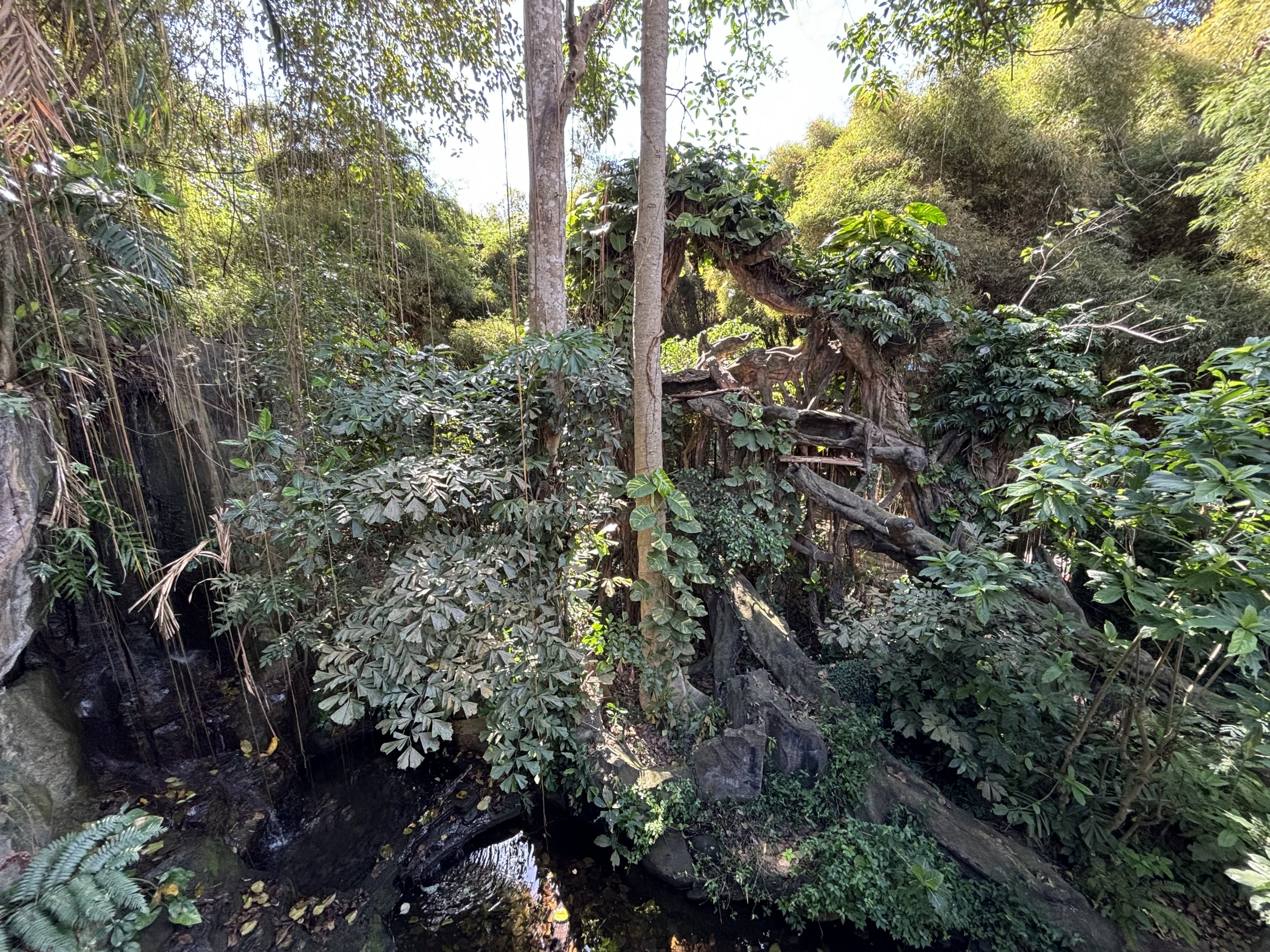 Javan Leopard + False Gharial Exhibit
