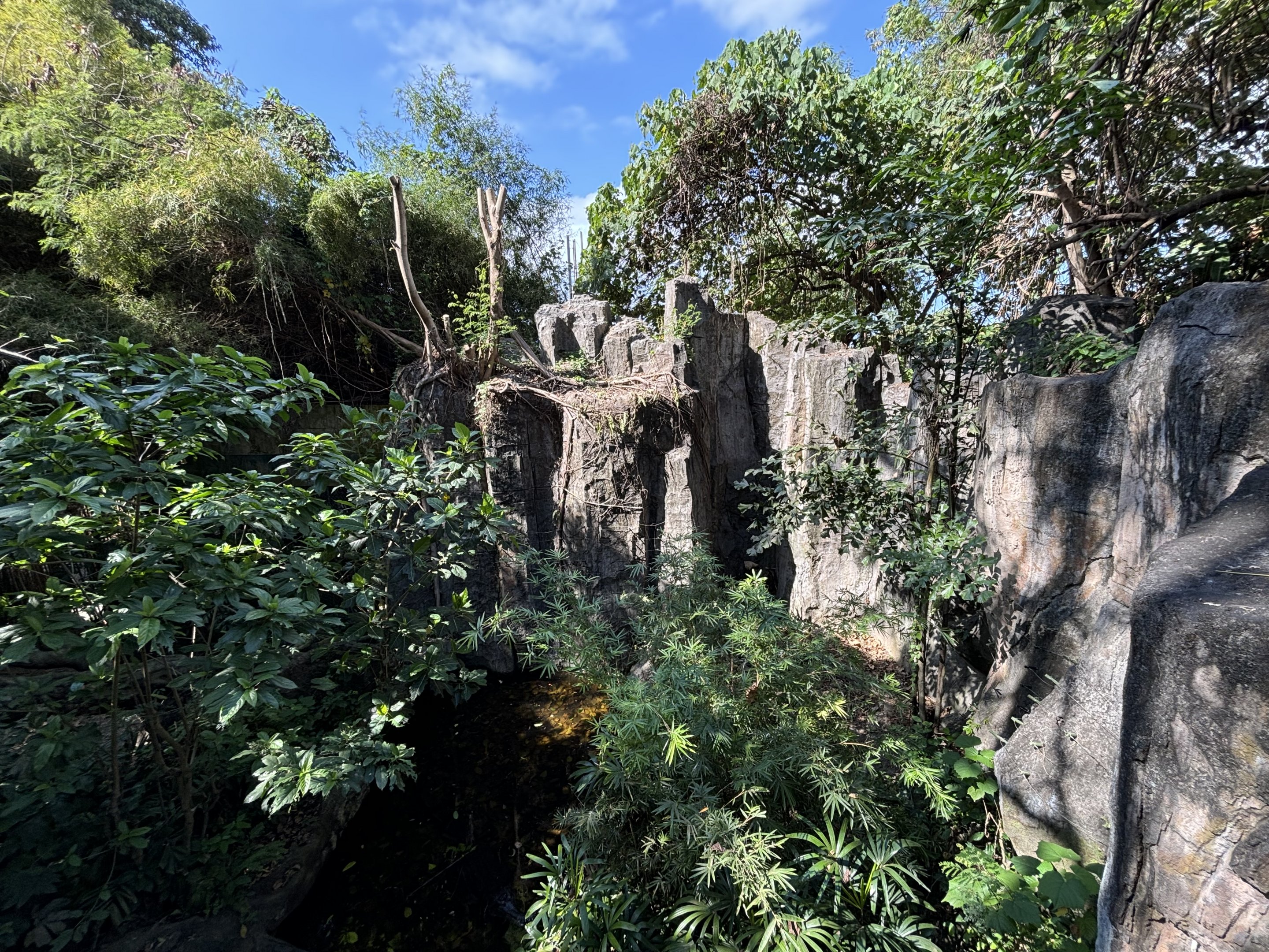 Javan Leopard + False Gharial Exhibit