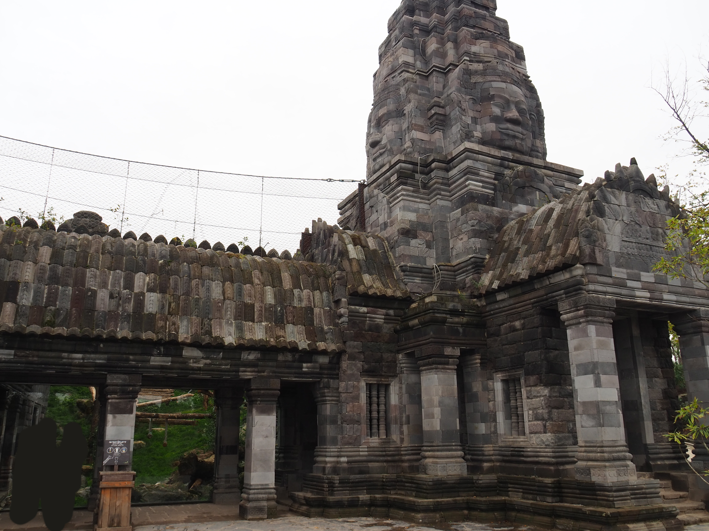 Javan leopard temple, 2019-10-04