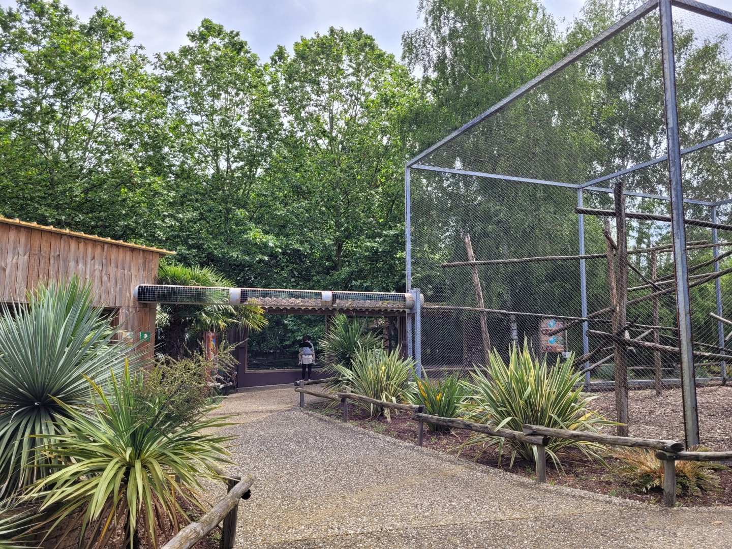 Javan lutung and hyena area -Zoo du bassin d'Arcachon (2024)