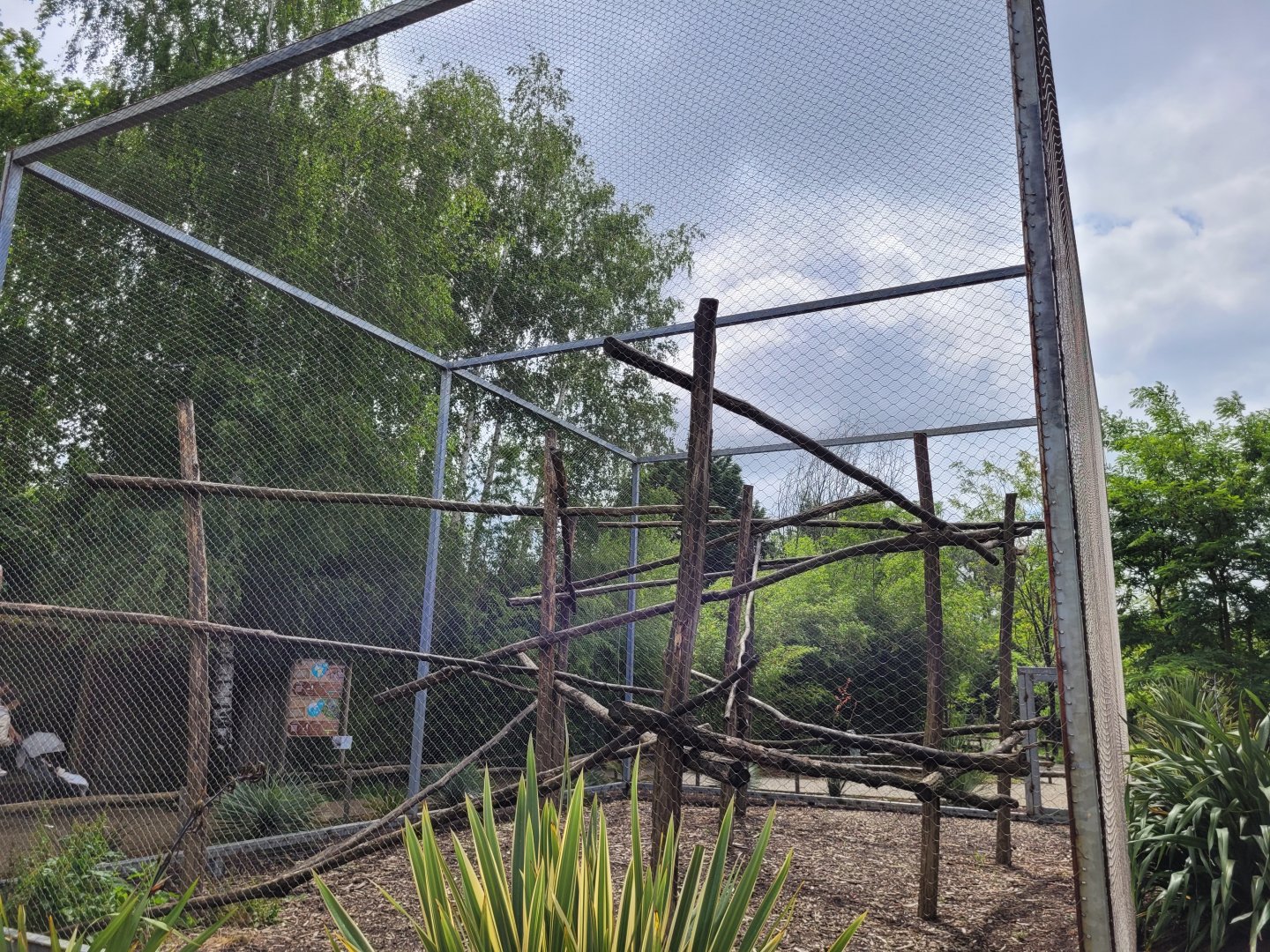 Javan lutung exhibit -Zoo du bassin d'Arcachon (2024)
