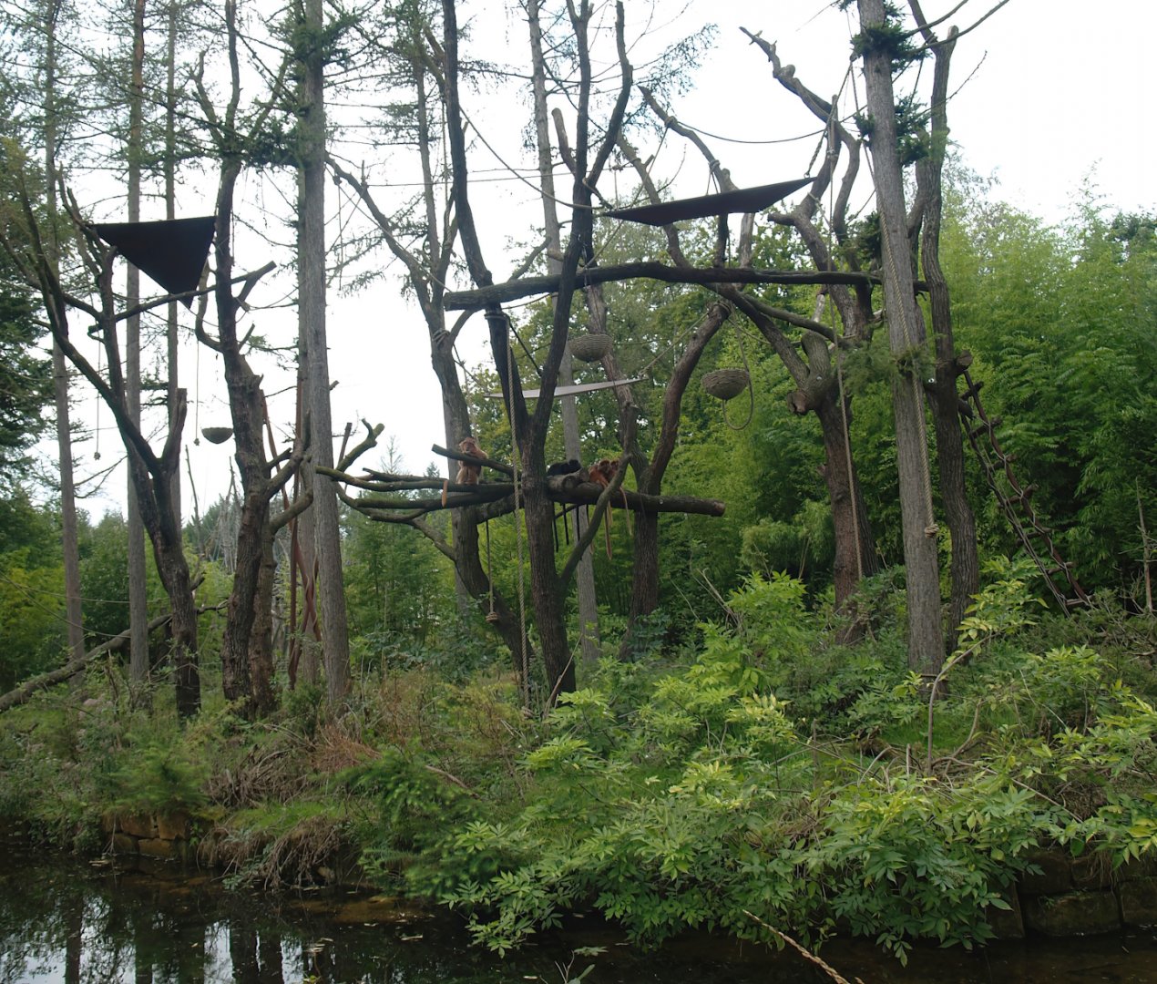 Javan lutung island, 2007-09-16