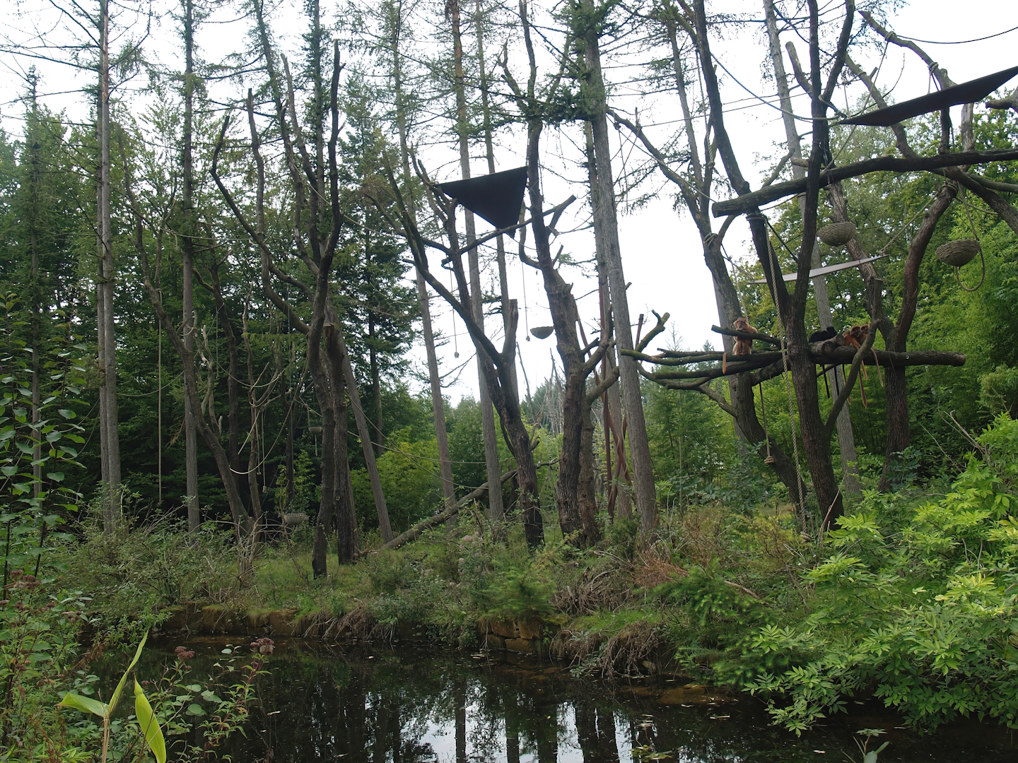 Javan lutung island, 2007-09-16